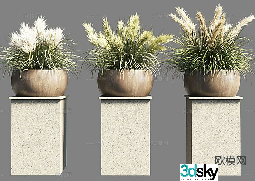 Plants Green Plants Pot Plants 3D Model