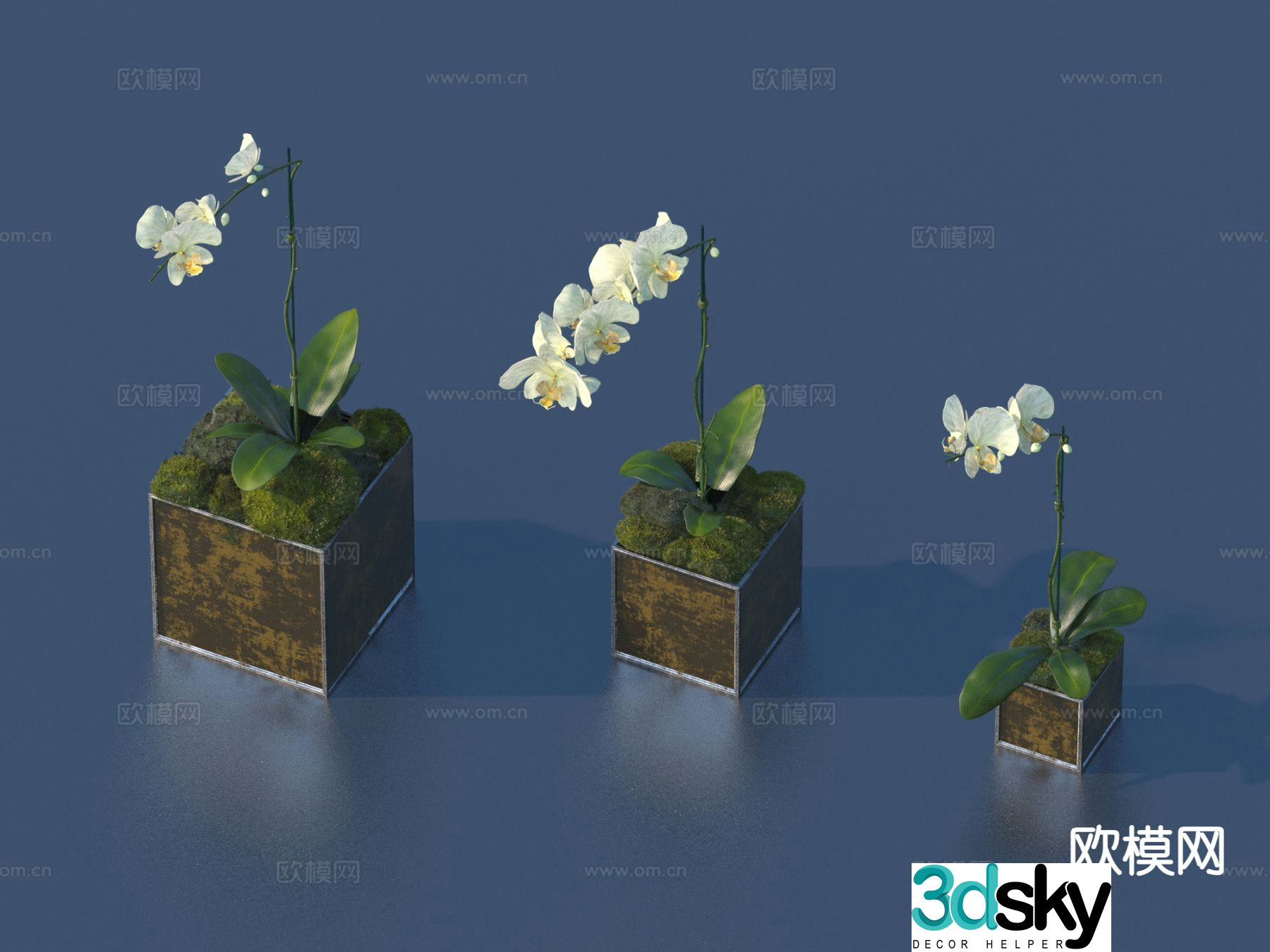Potted plants Bonsai Green plants 3D model