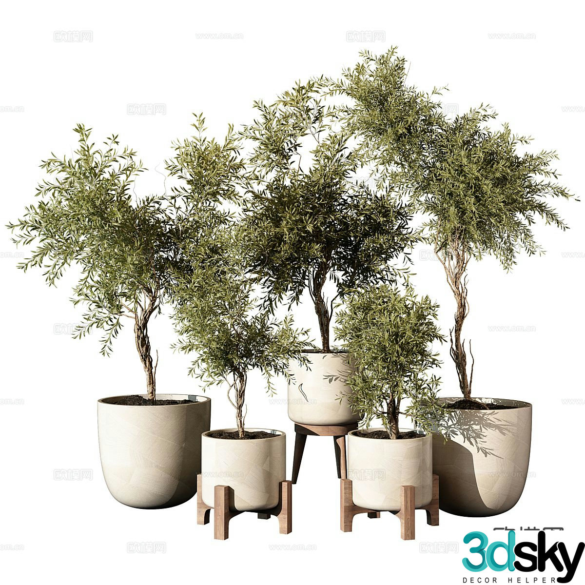 Modern potted plant fern potted plant 3d model