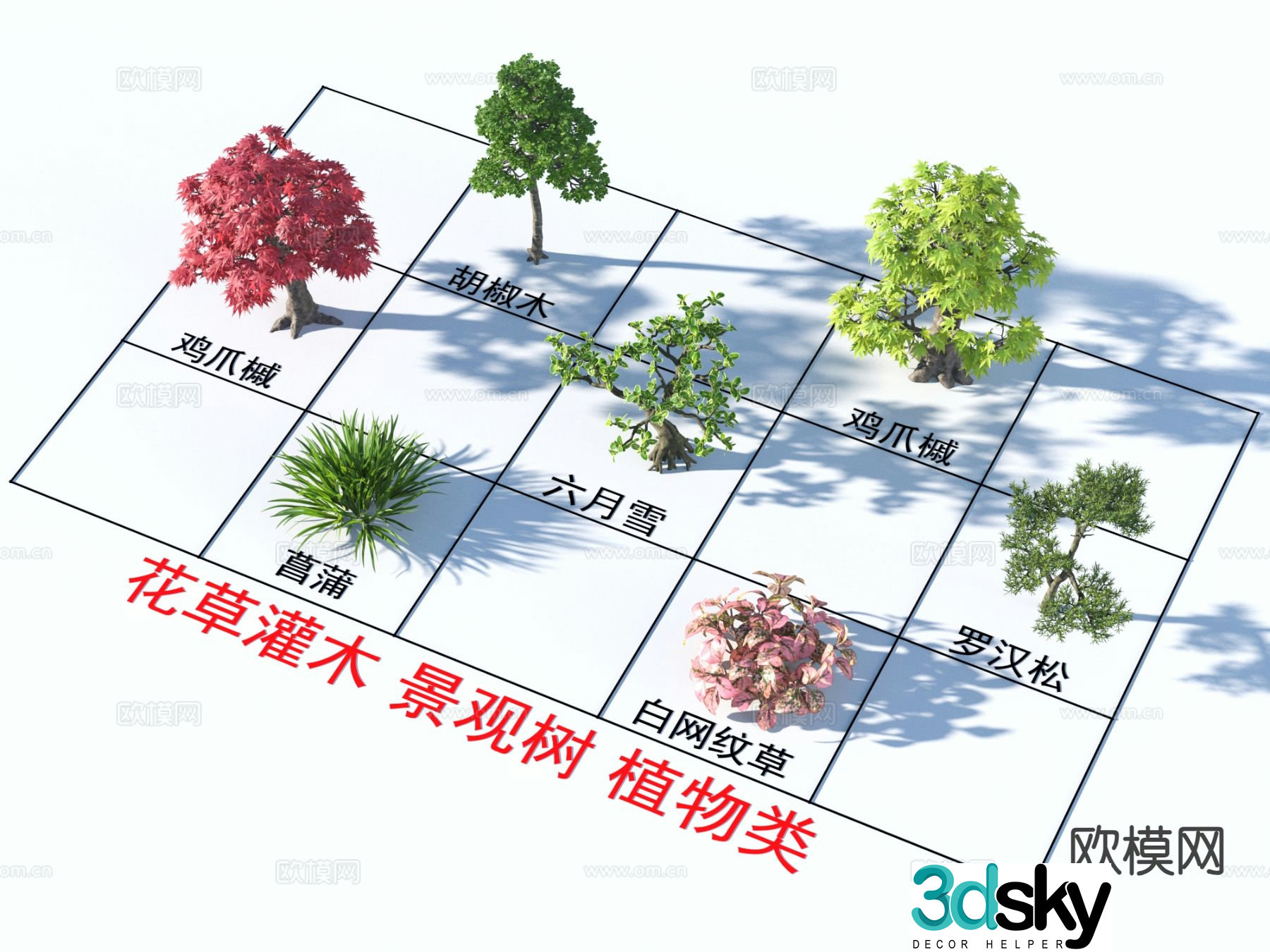 White mesh grass calamus flowers grass and shrubs 3D model