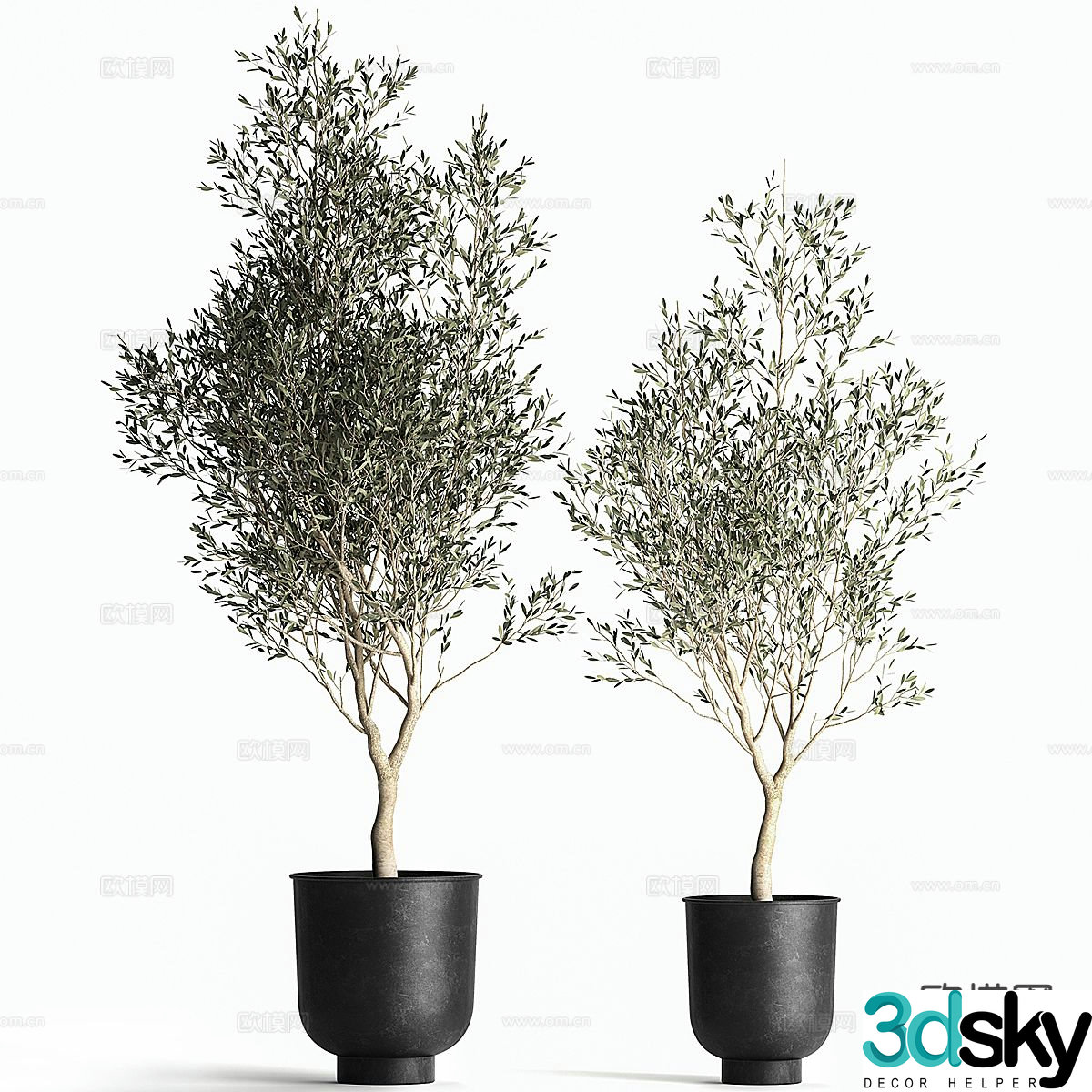 Potted plants Bonsai Green plants 3D model