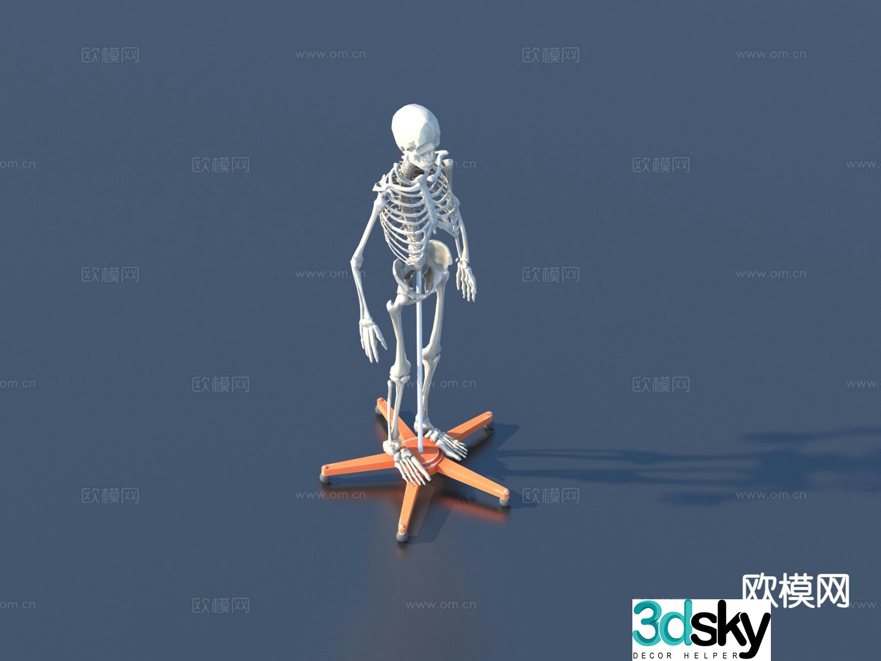 Human skeleton equipment medical equipment 3D model