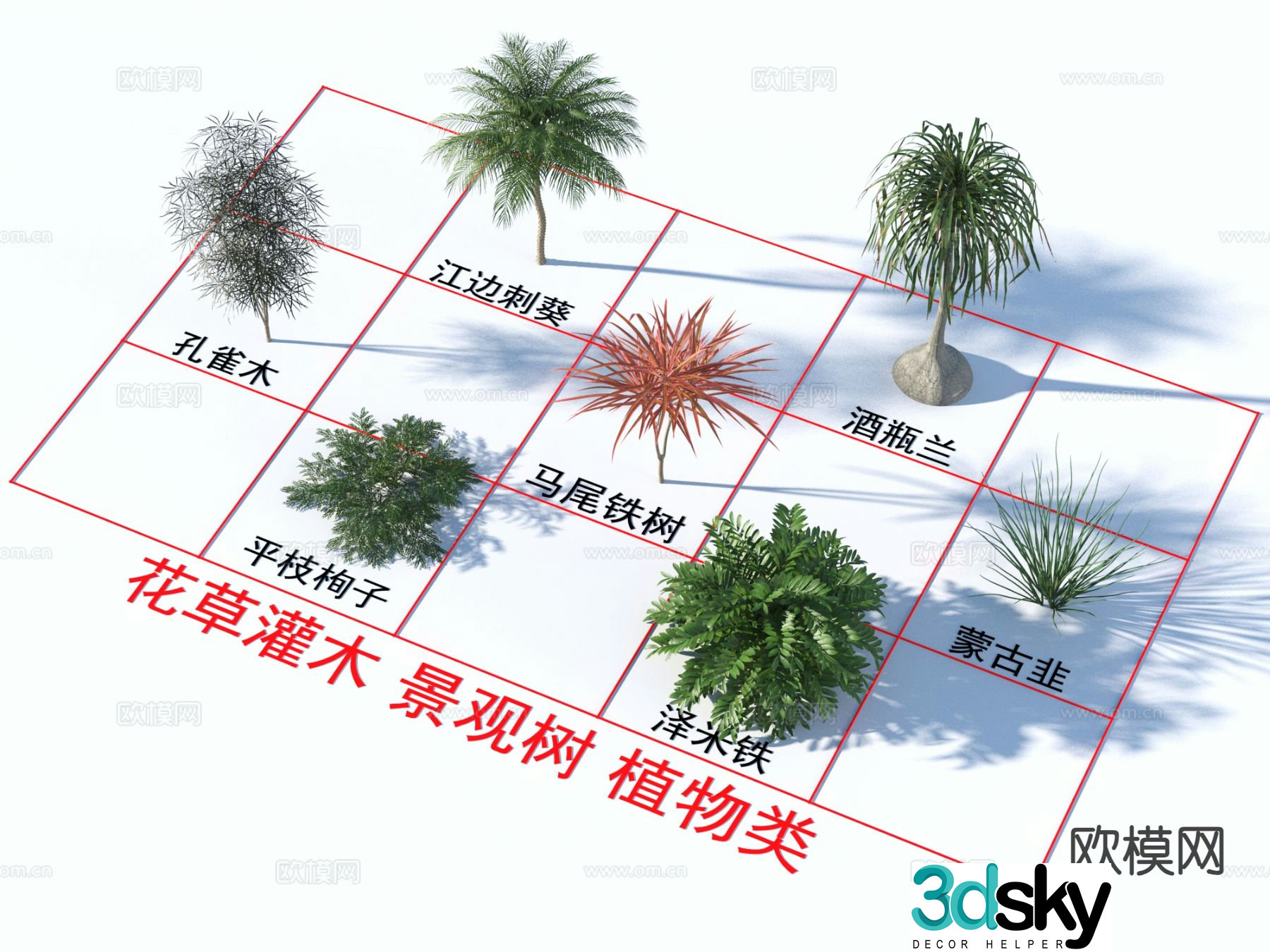 Flowers and plants riverside thorn sunflower wine bottle orchid peacock wood 3D model