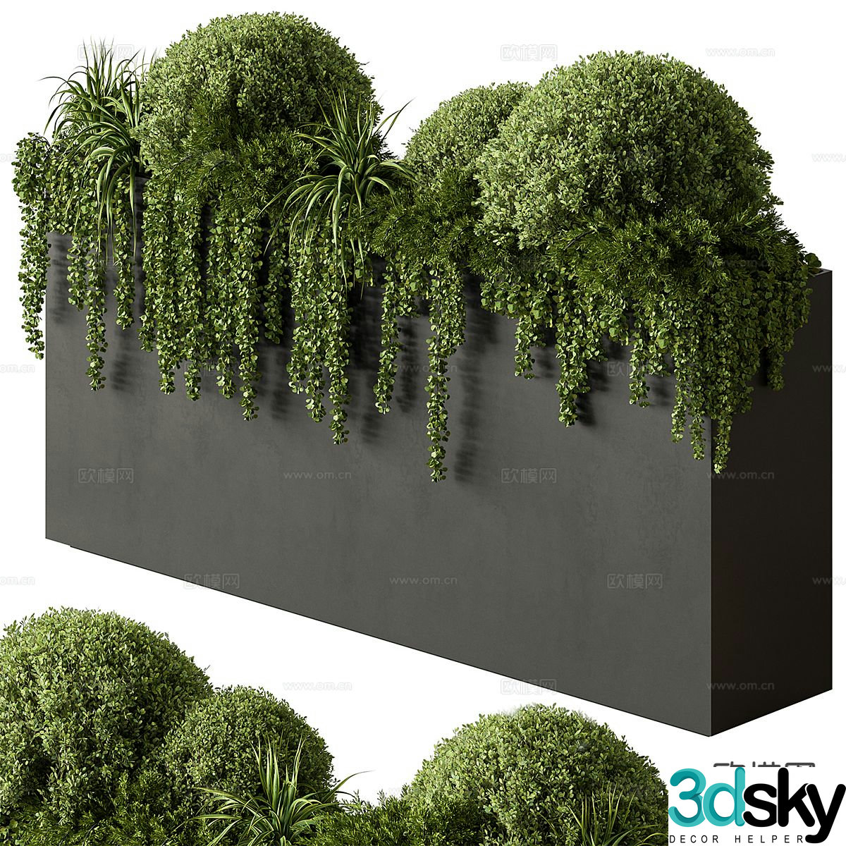 Green plant flower box flower trough flower bed plant 3d model
