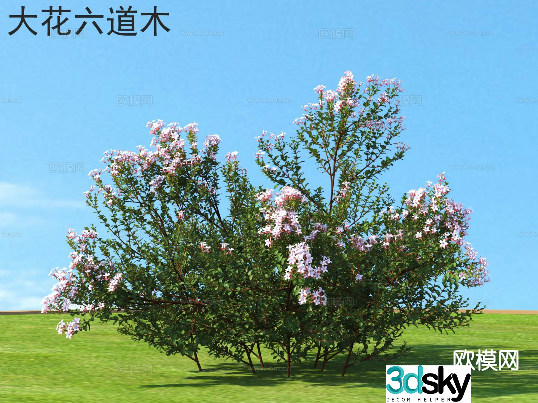 Big Flowers and Six Paths Flowers and Shrubs Plants 3D Model