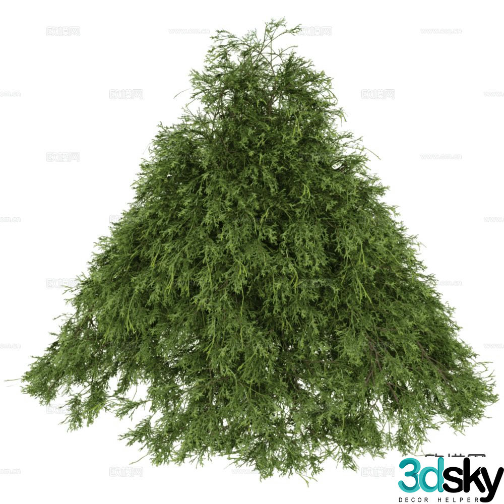 Modern shrub plant 3d model