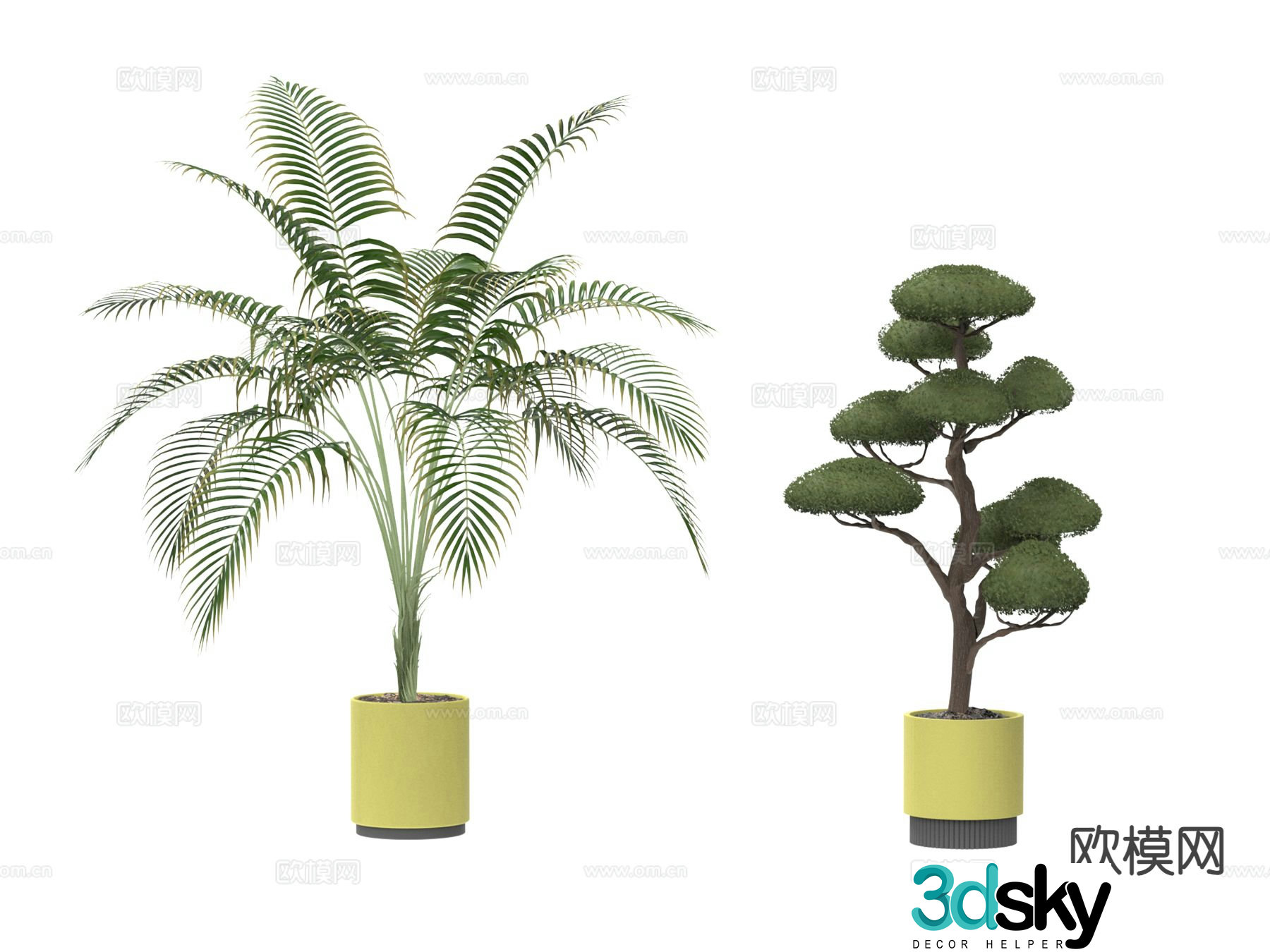 Plant potted indoor potted plant 3d model
