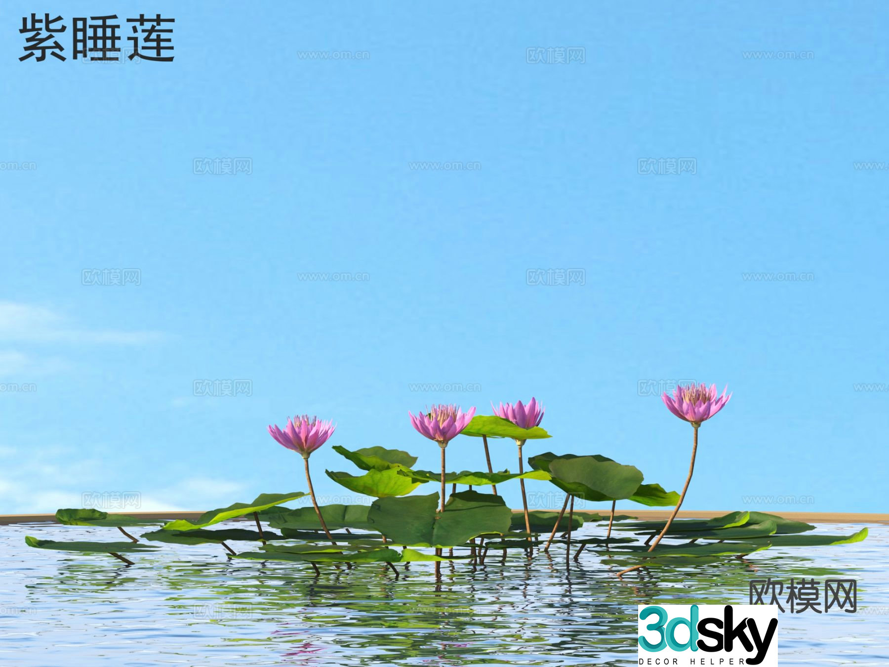 Aquatic flowers and plants Purple water lily 3D model