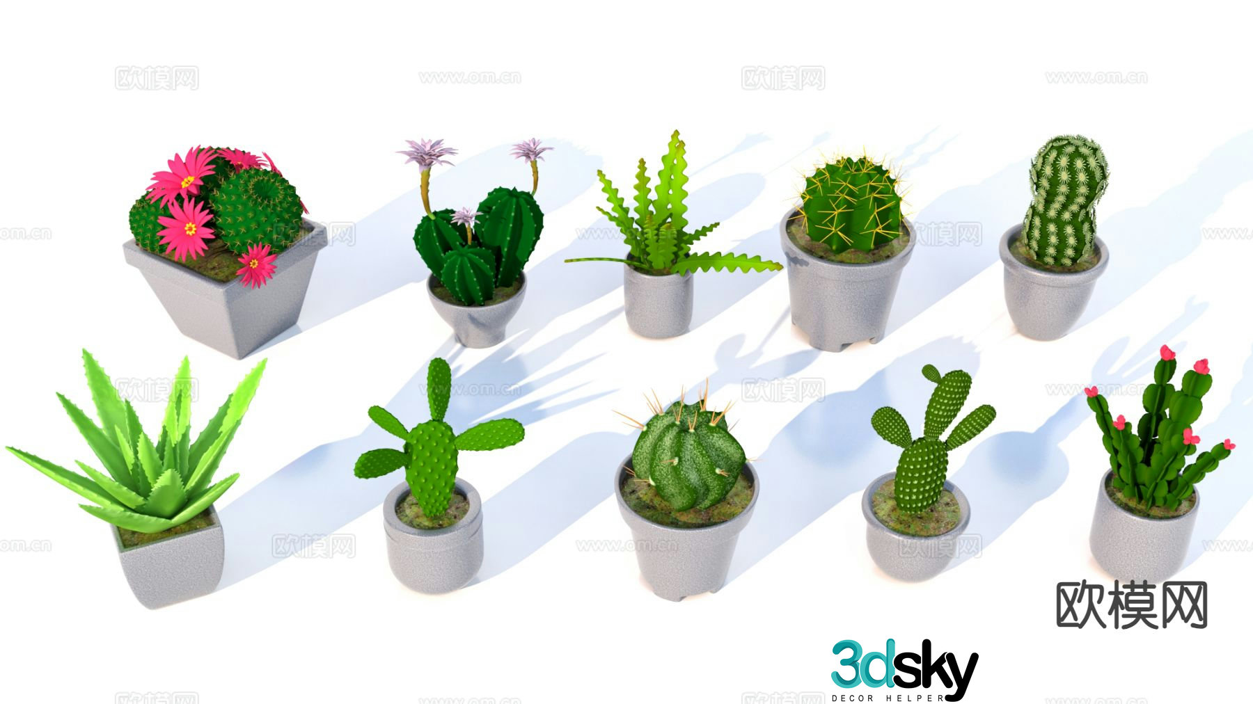 Cactus Aloe vera 3d model