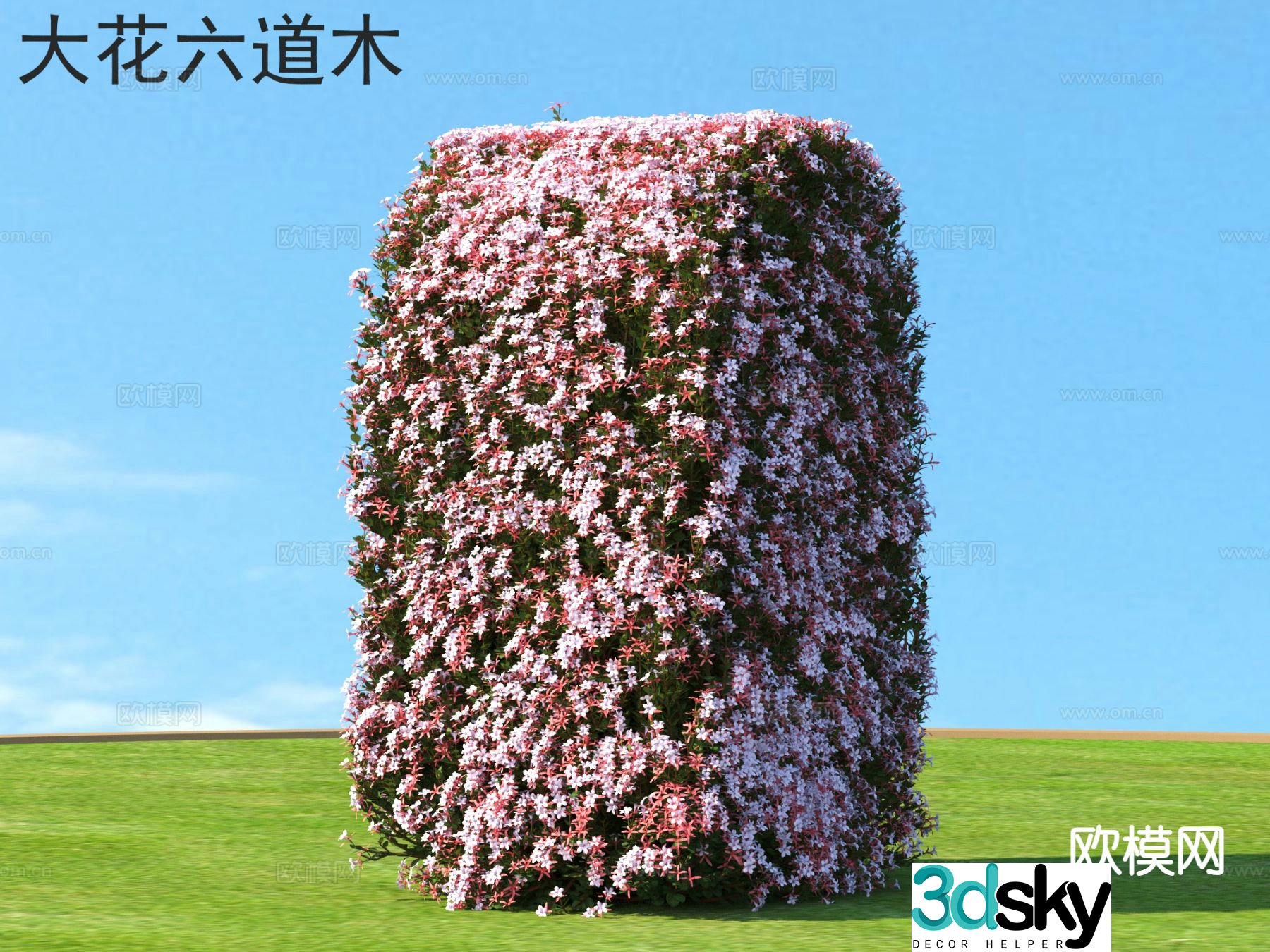 Big Flowers and Six Paths Flowers and Shrubs 3D Model