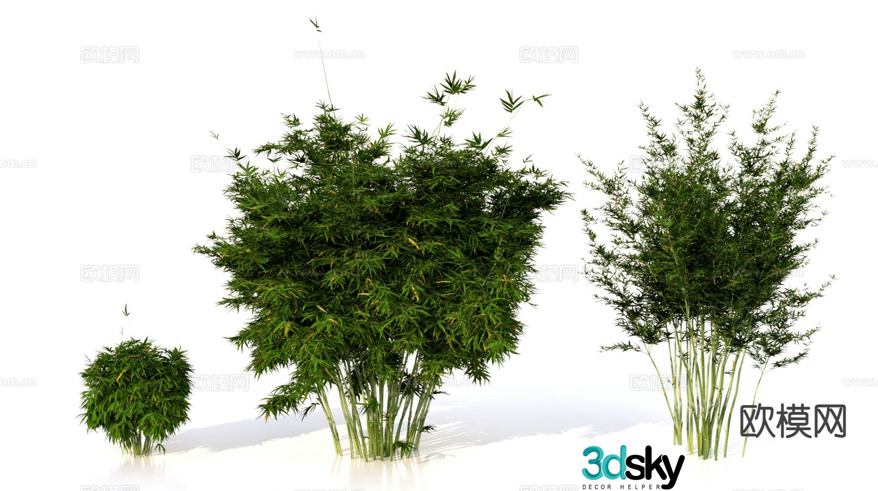 Bamboo Green Bamboo Green Bamboo Momoji 3D Model
