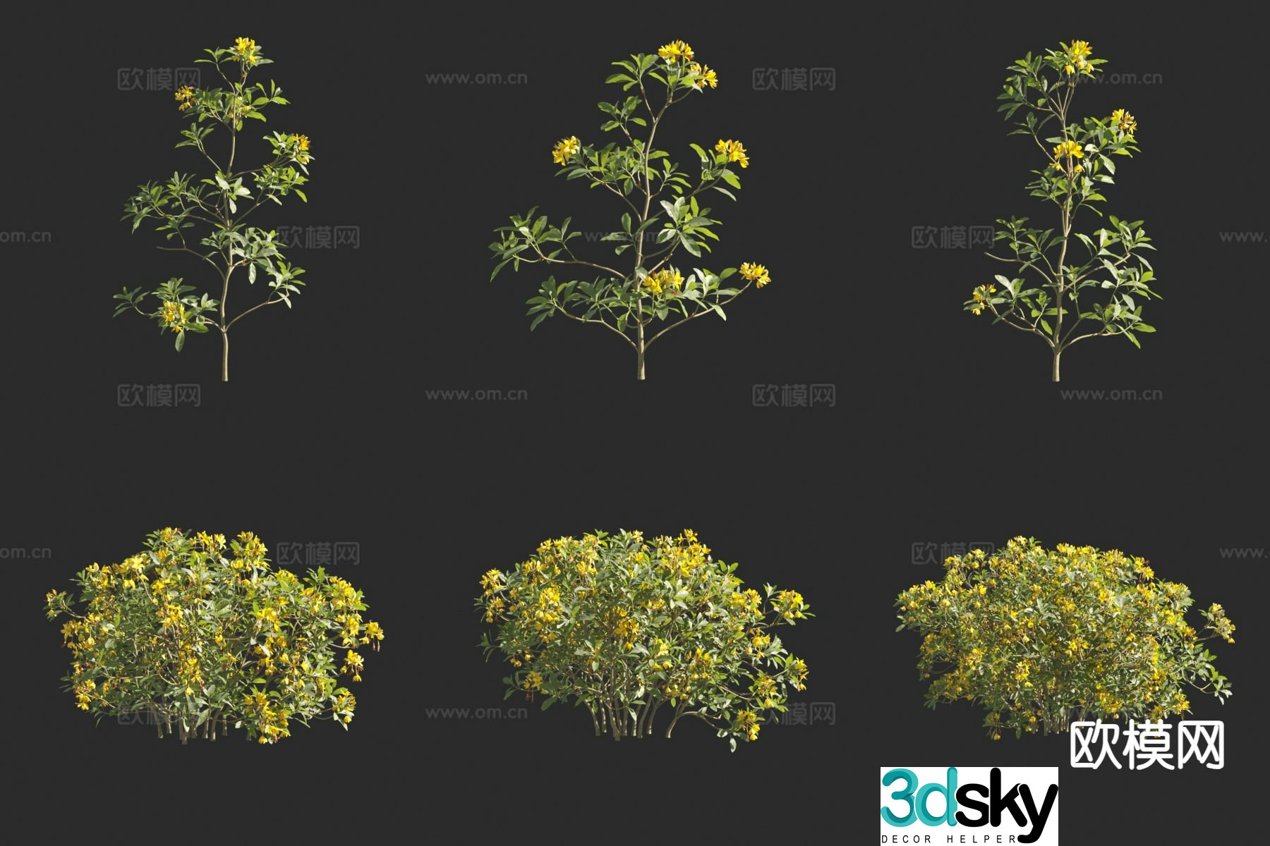 Flowers and plants Yellow flower azalea 3d model