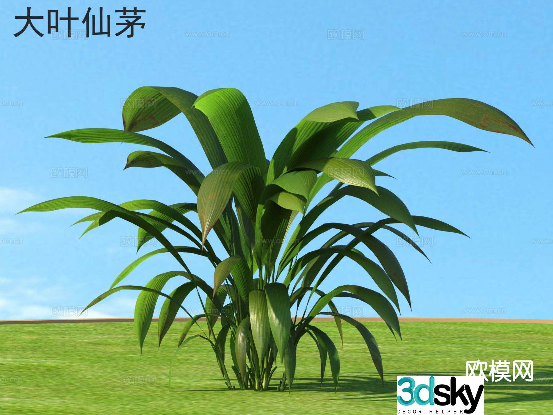 Big Leaf Fairy Flowers Grass and Shrubs Plants 3D Model
