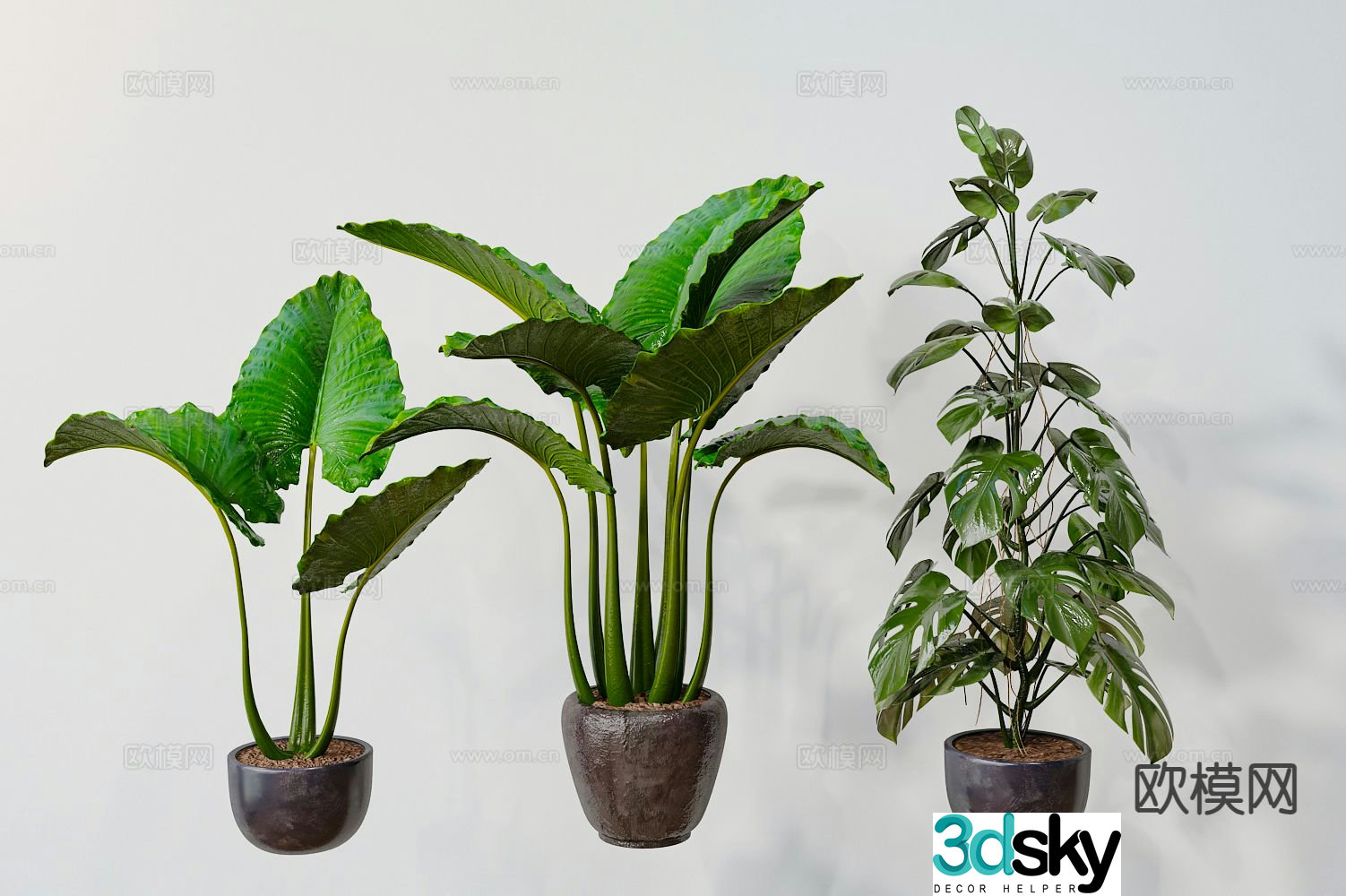Plant potted green plant 3d model
