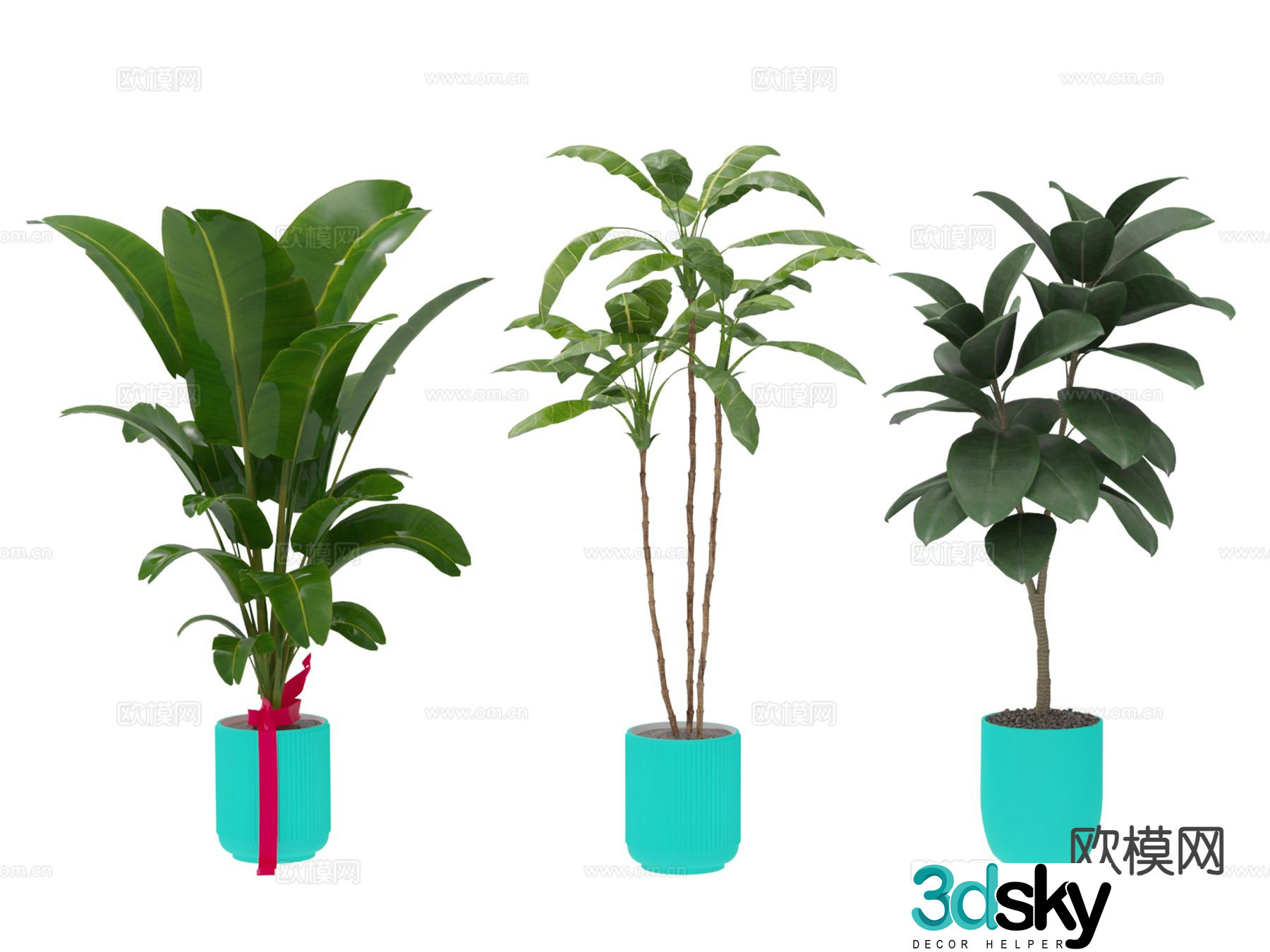 Green plants potted 3d model