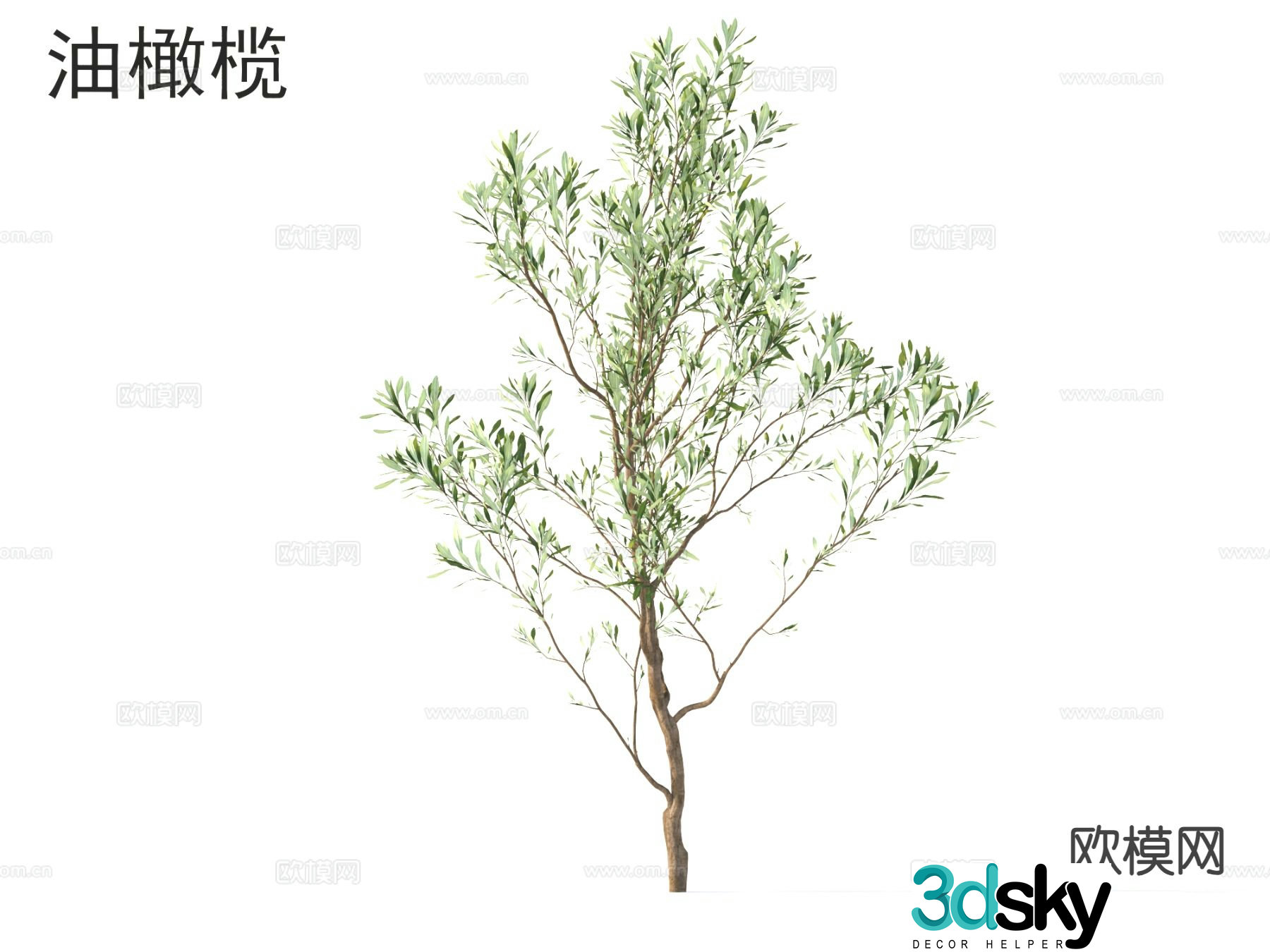 Olive oil small tree arbor 3d model