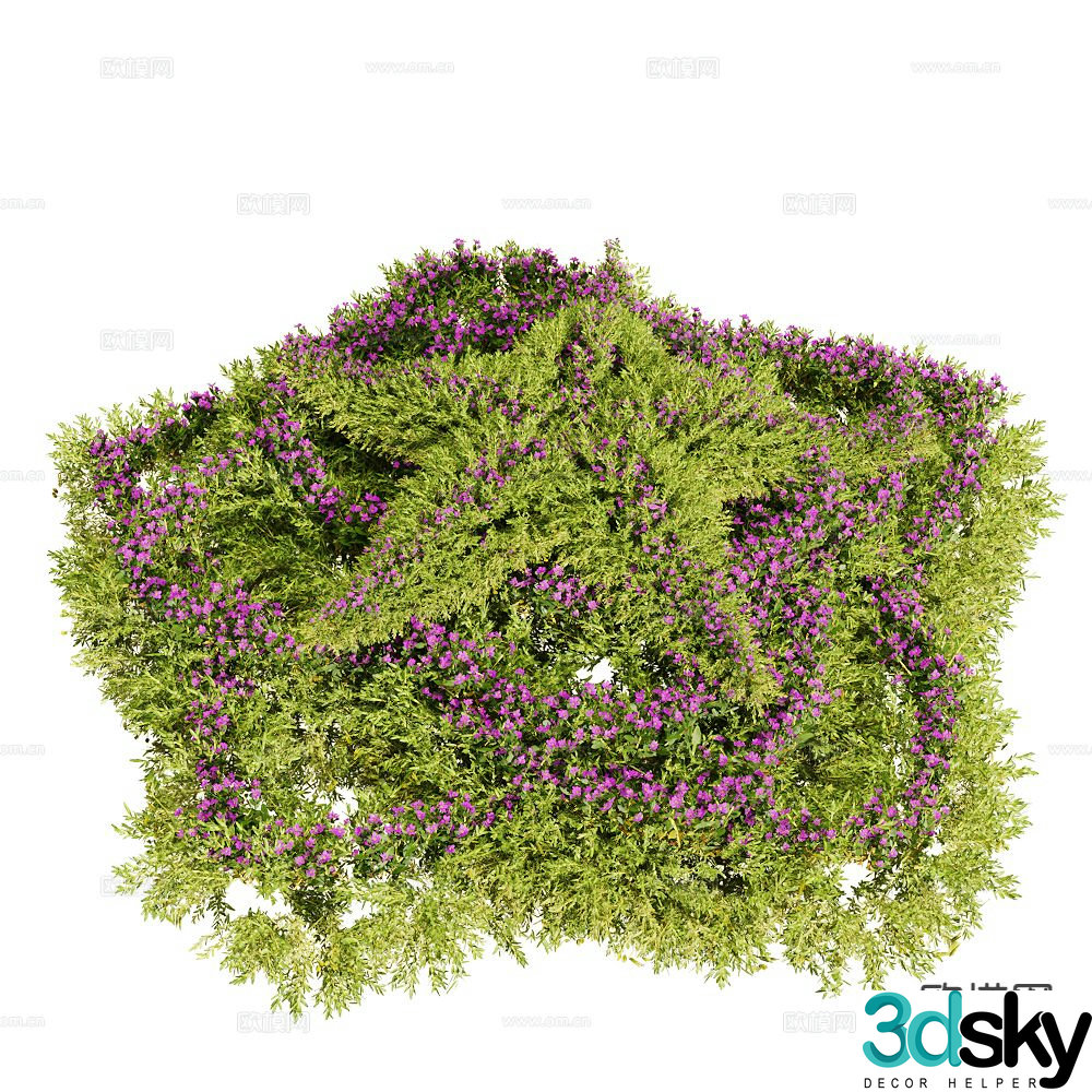 Plant shrubs shrub ball 3d model