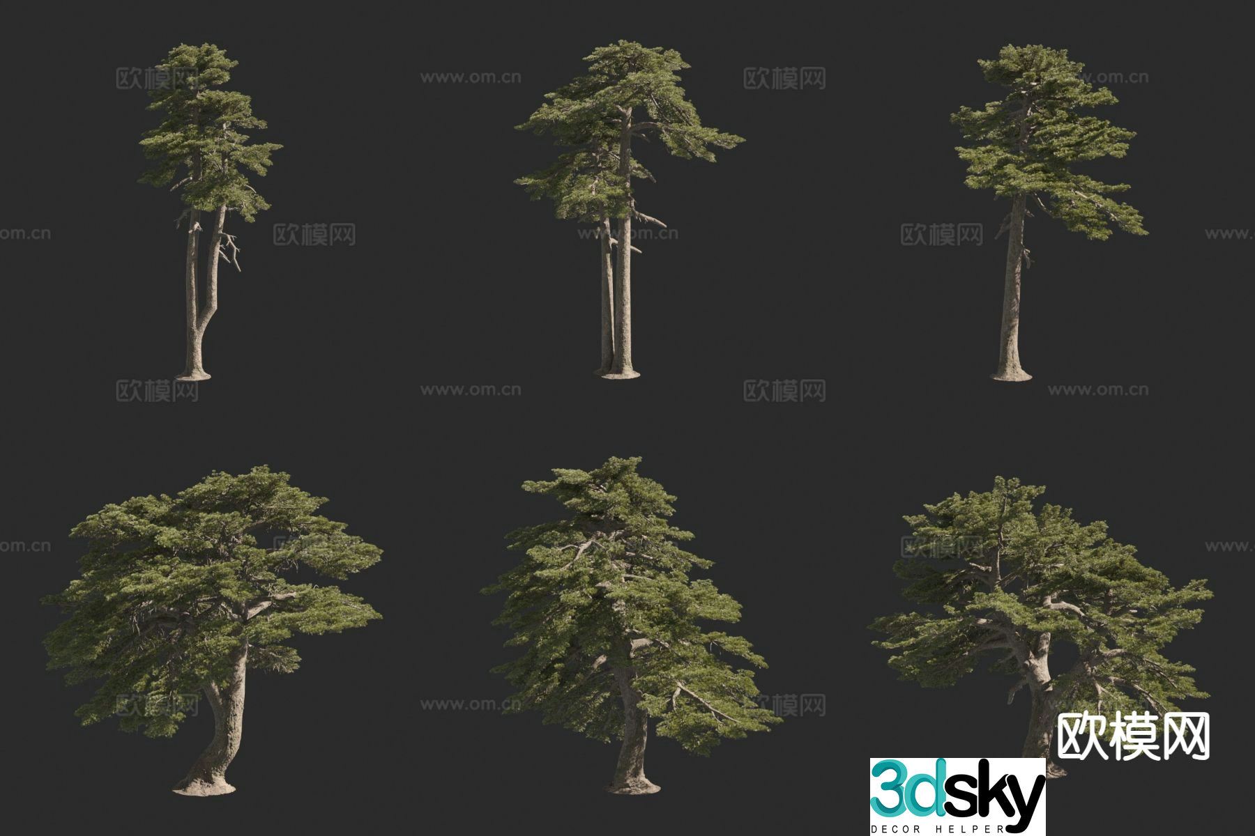 Scots pine bosnian pine landscape tree 3d model