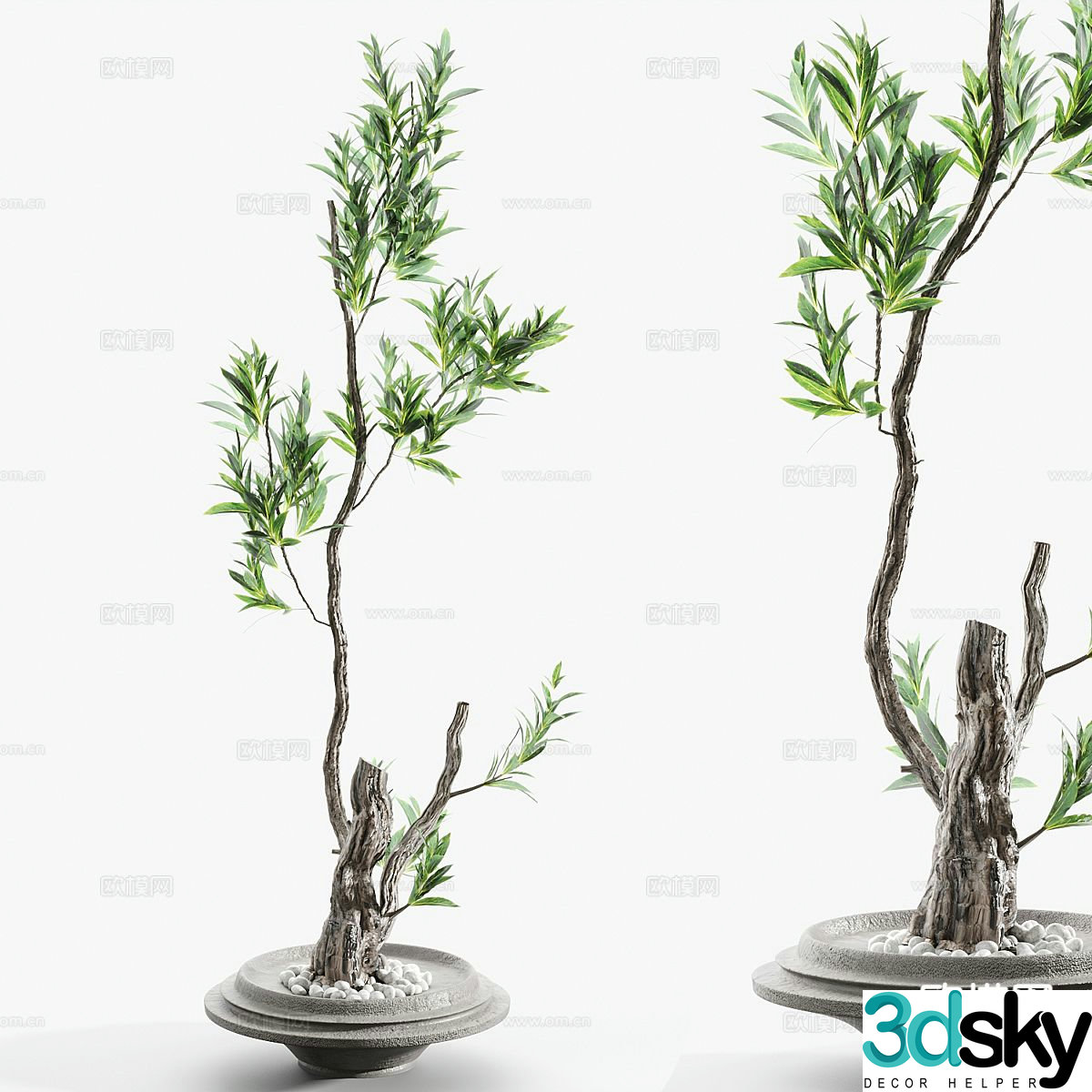 Potted plants Landscape green plants 3D model