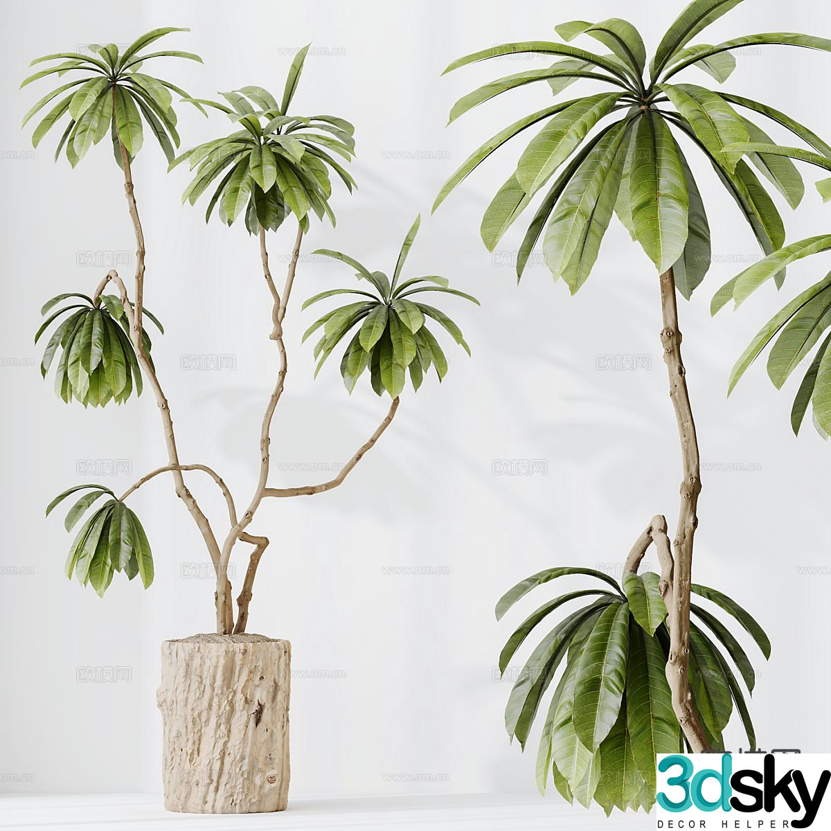 Bonsai Landscape Green Plant 3D Model