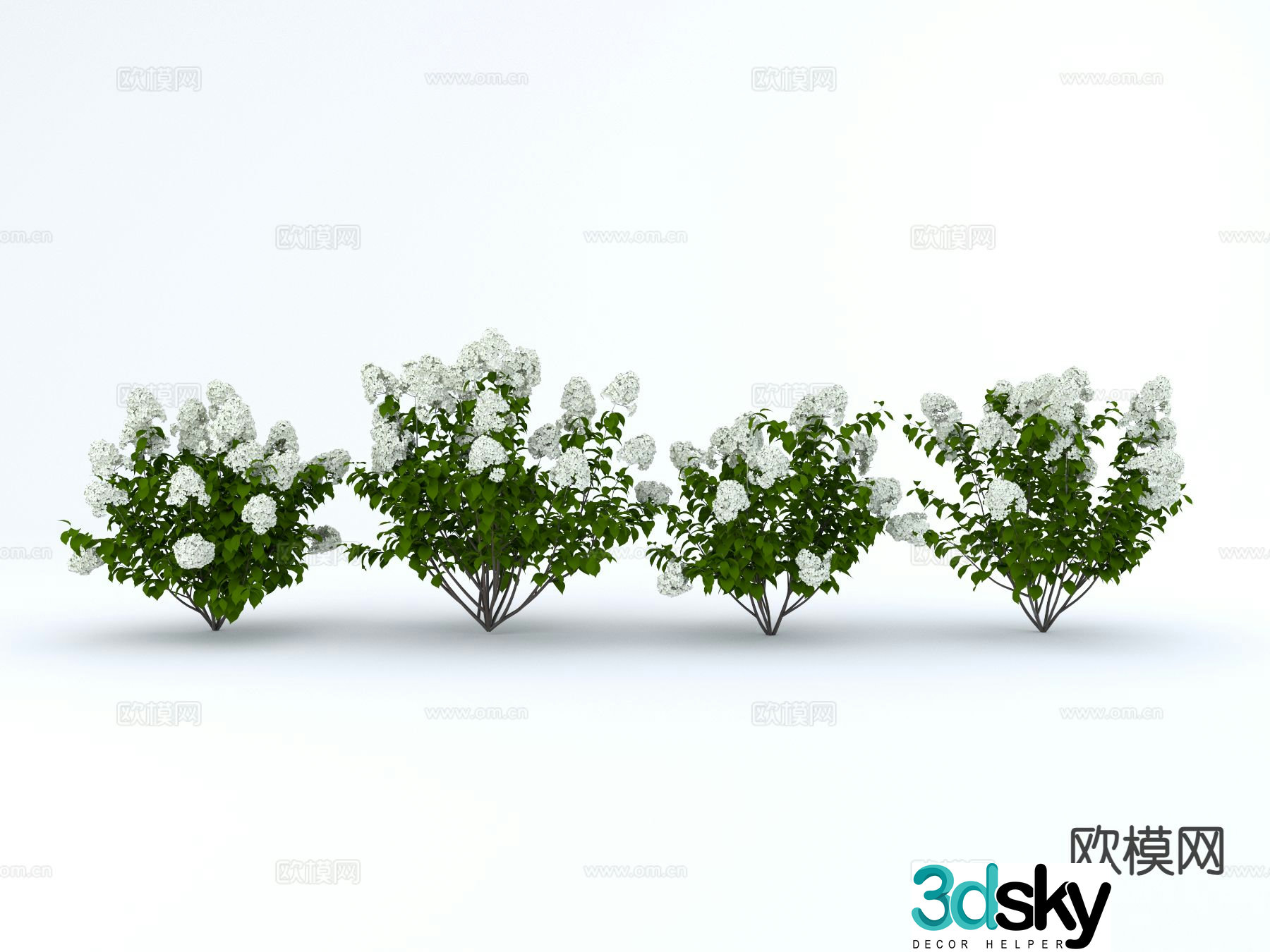 Celestial flowers White hydrangea terrace flowers 3d model