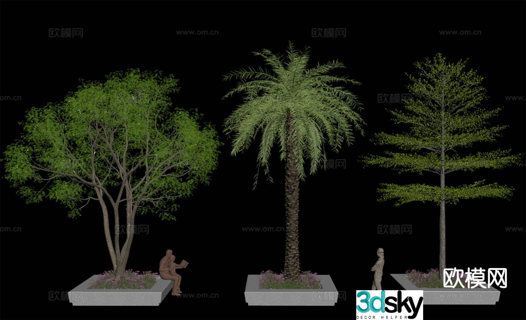 Landscape tree palm seaweed 3d model