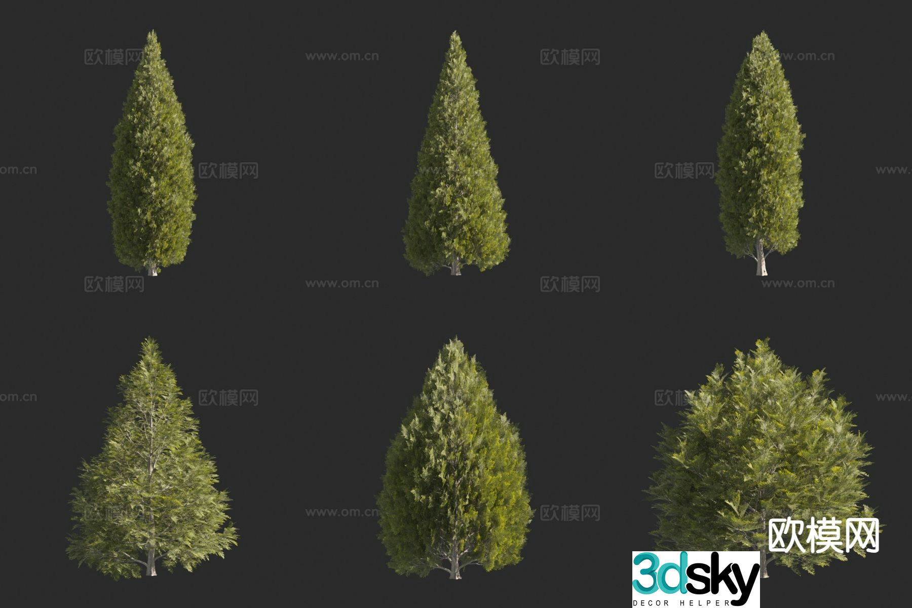 North American Cedar Tree Landscape Tree 3D Model