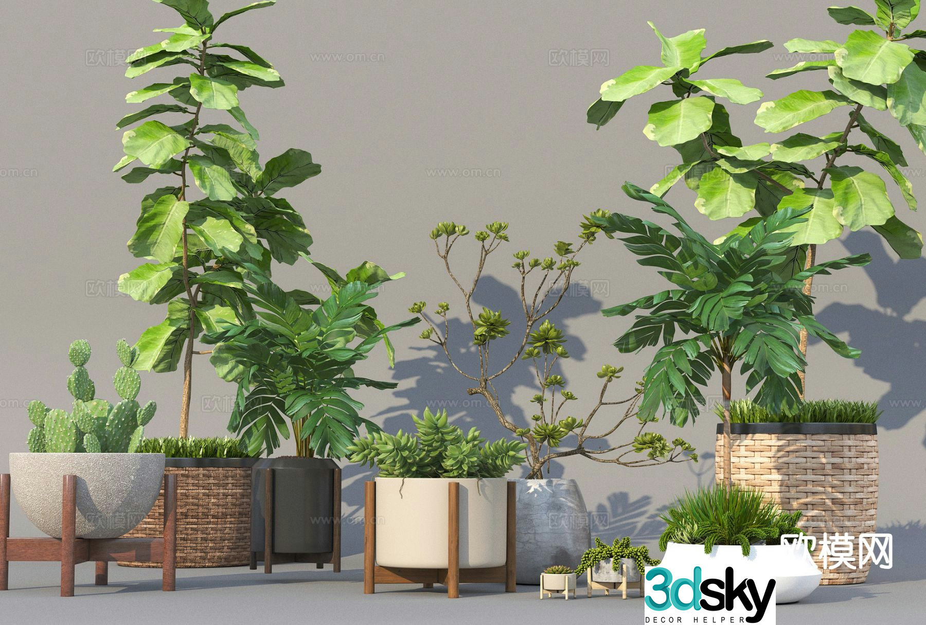 Modern potted plants bonsai green plants 3d model