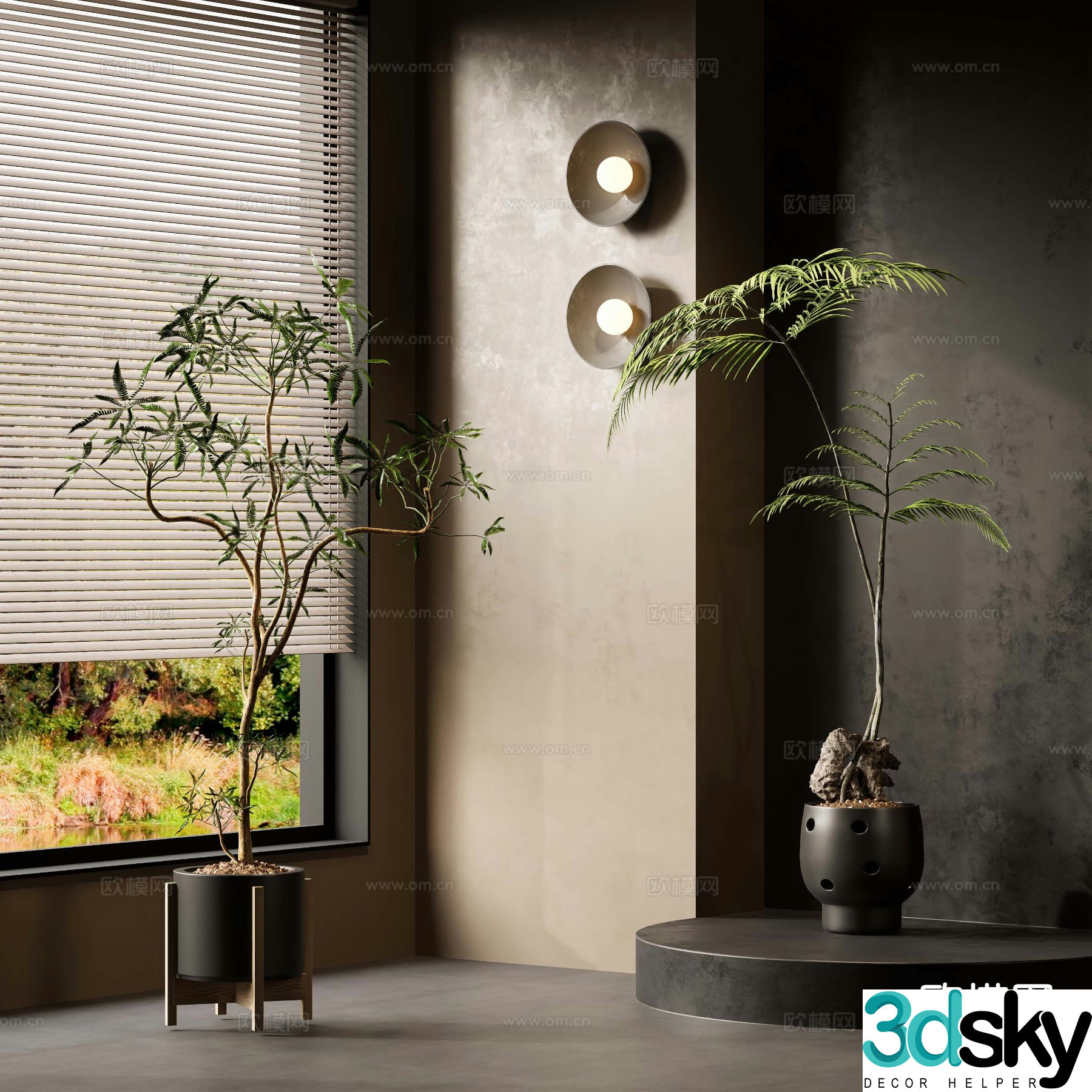 Potted plants Bonsai Green plants 3D model