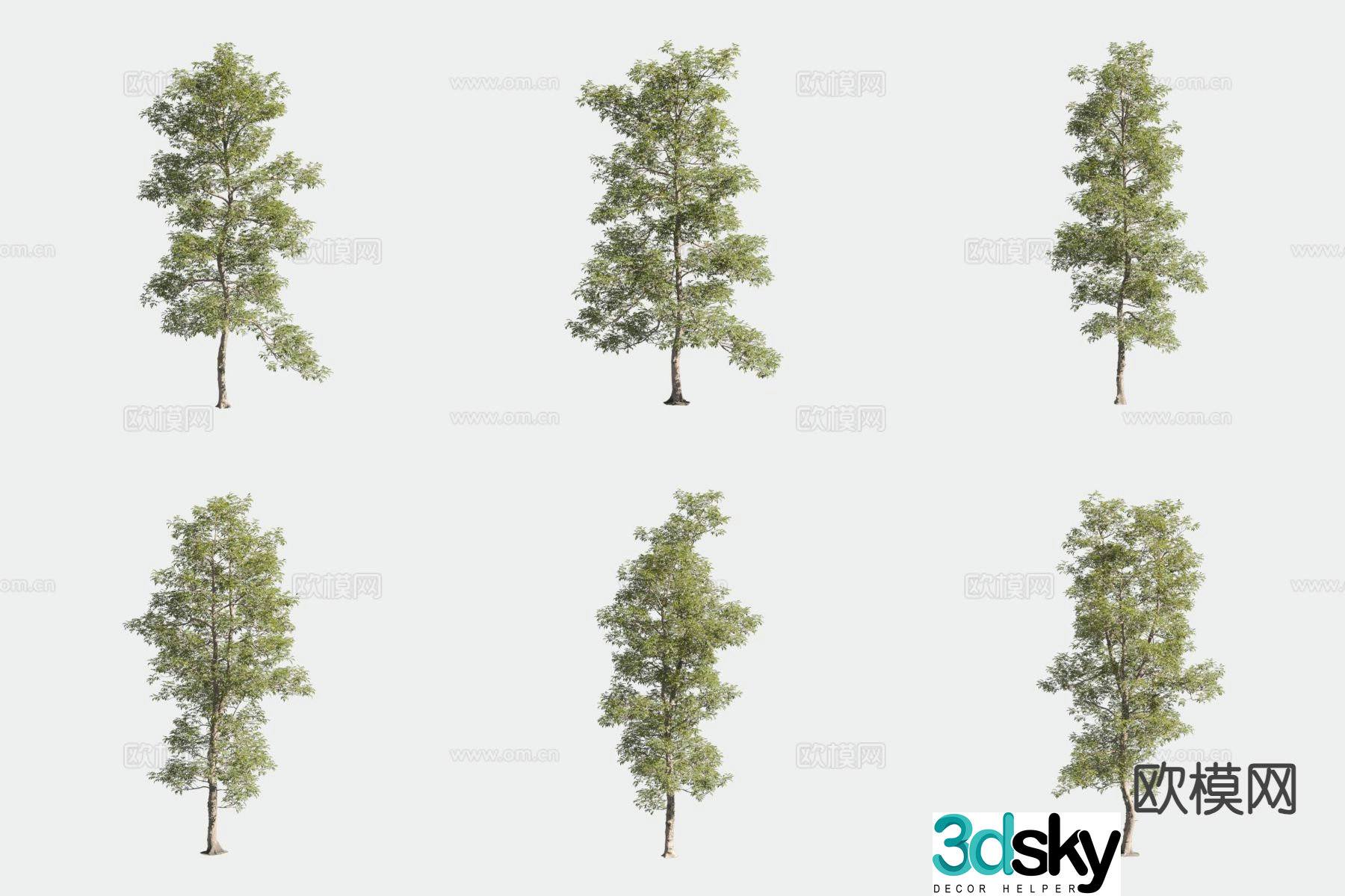 Hickory Tree Landscape Trees 3d Model