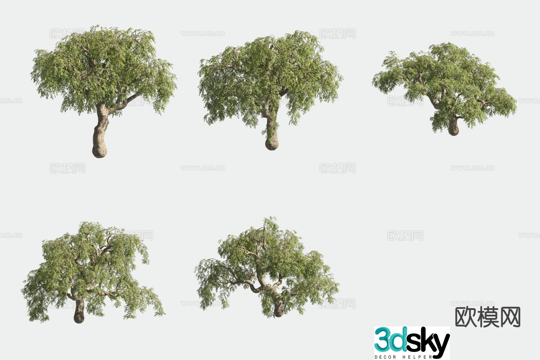 Black locust tree Chinese locust tree landscape tree tree 3d model