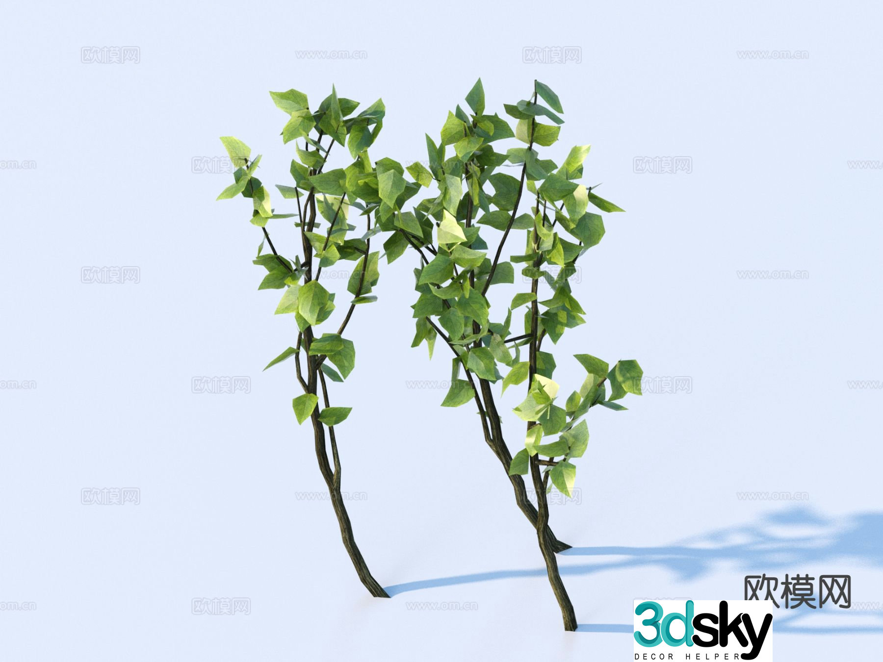Green Shrub Plant 3D Model