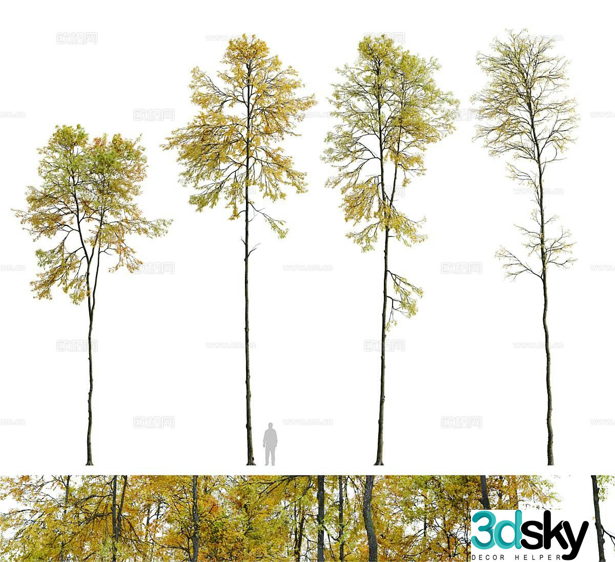 Autumn deep forest trees landscape tree 3d model