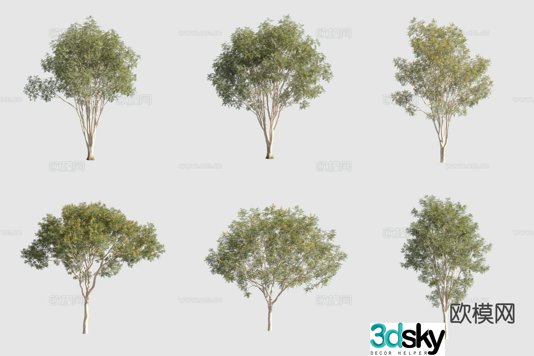 Brazilian iron frame wood landscape tree 3d model