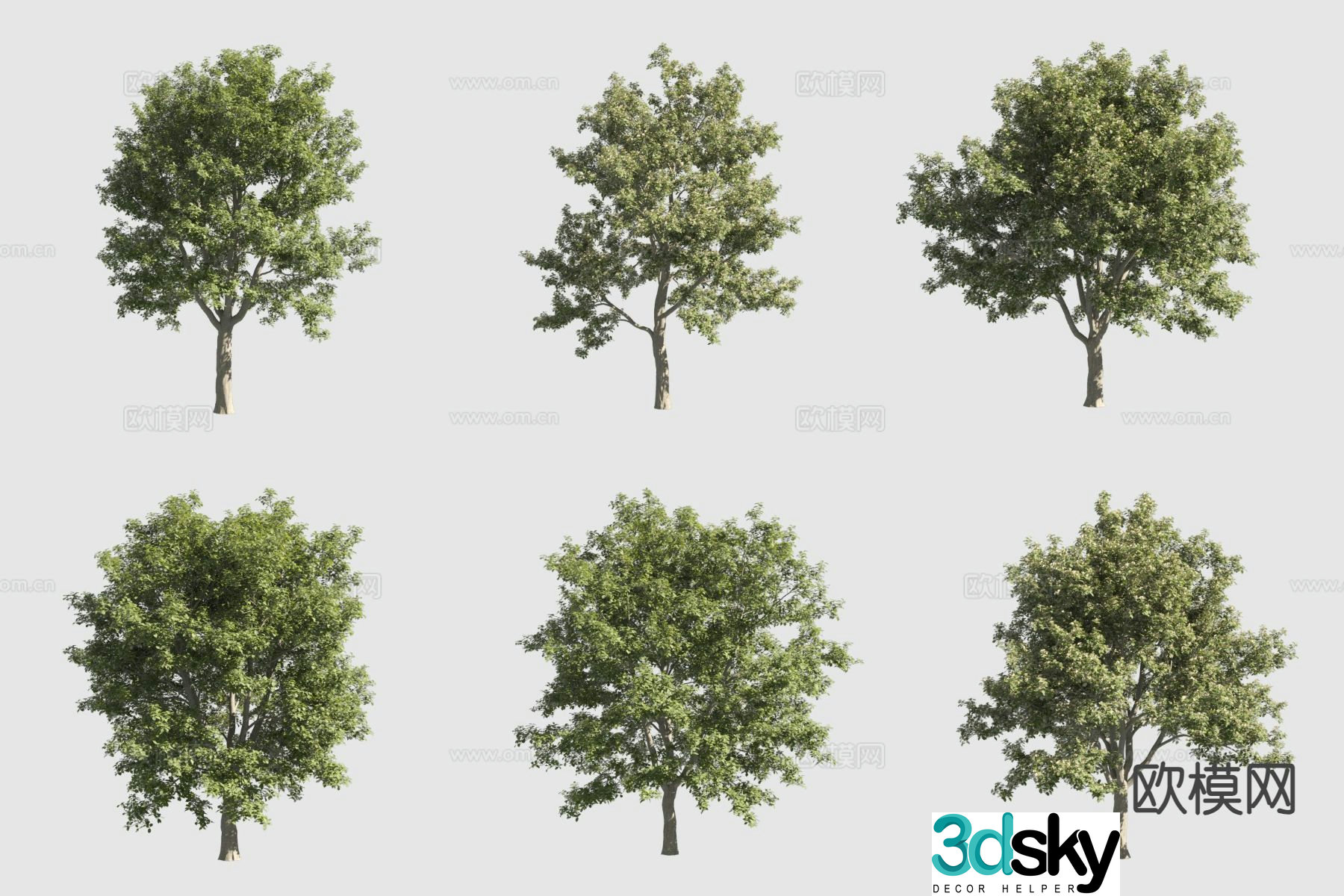 Delicious white wood rosewood landscape tree 3d model