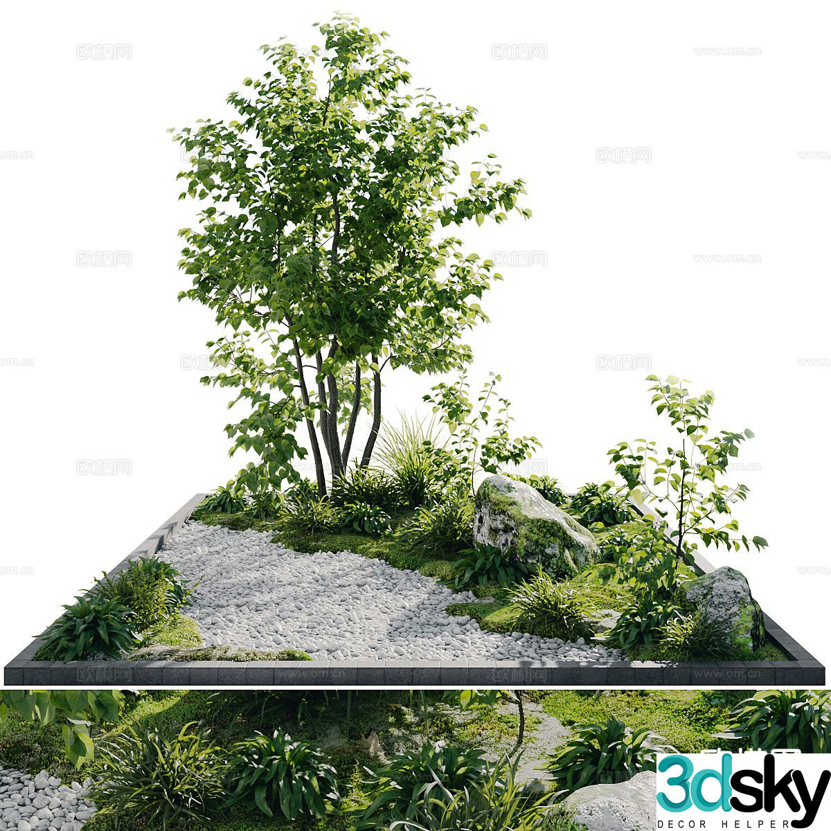 Landscape sketch plant landscaping 3D model