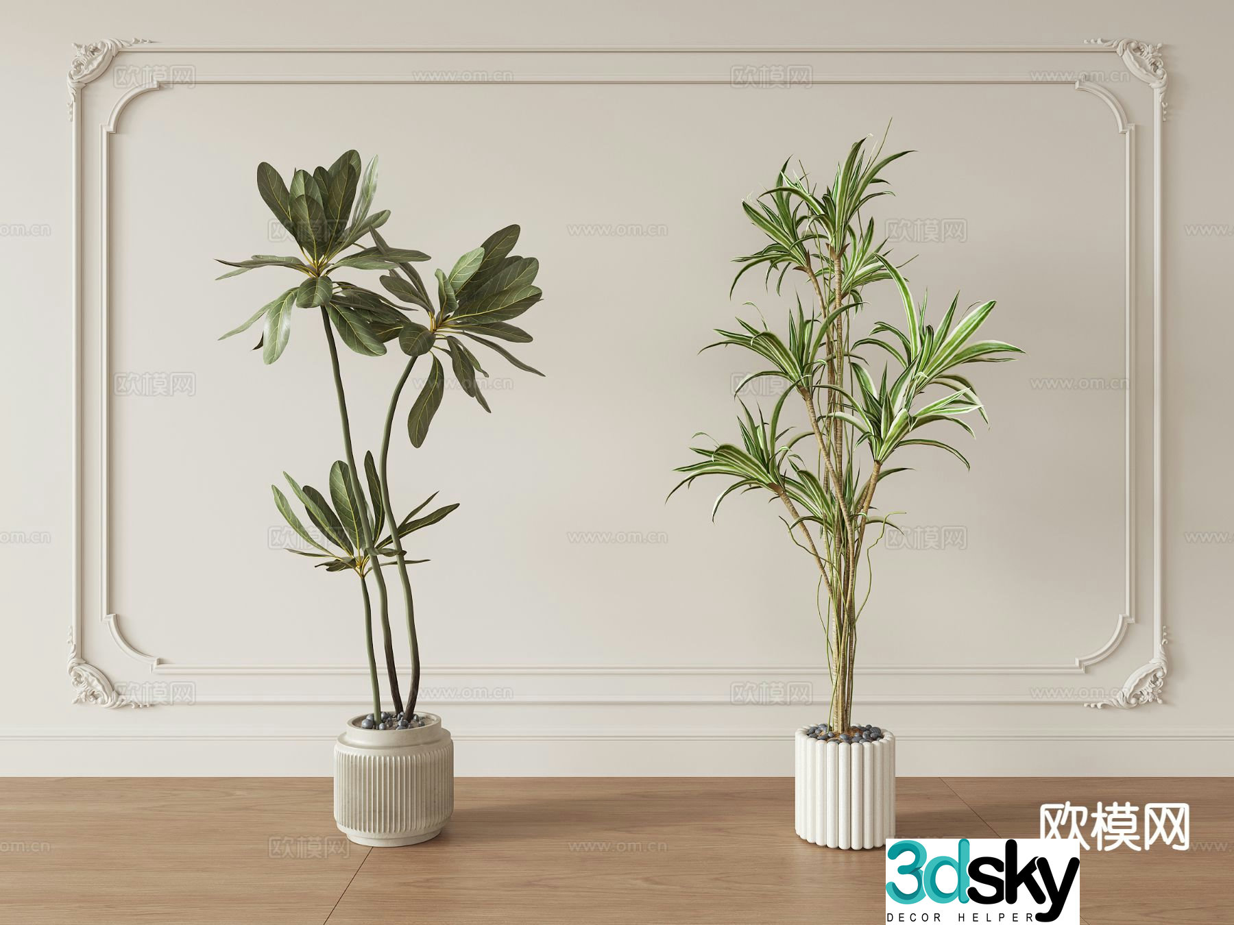 Wasabi wind green plant potted plants indoor potted plants 3D model