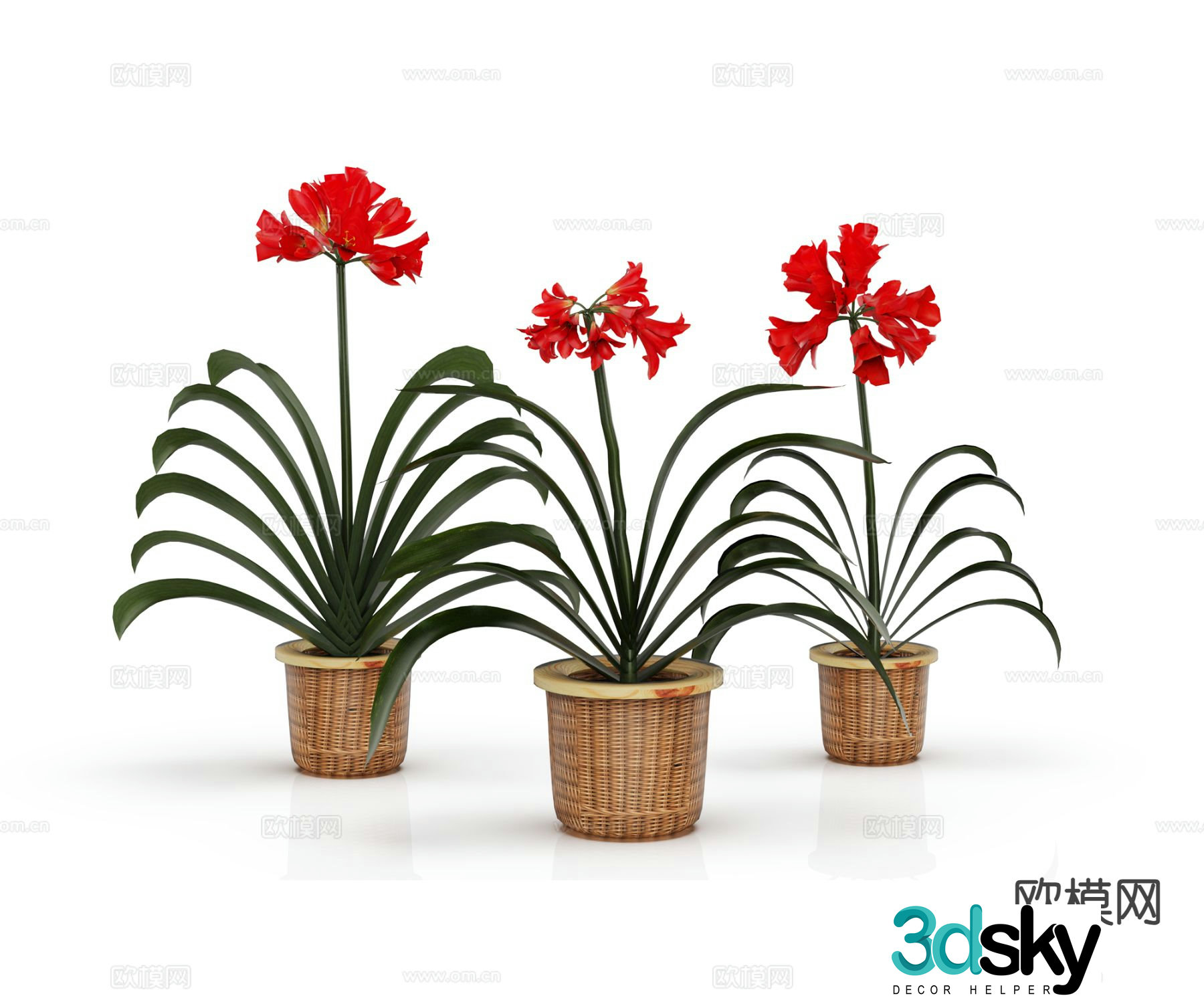 Modern potted plant flower pot flower 3d model