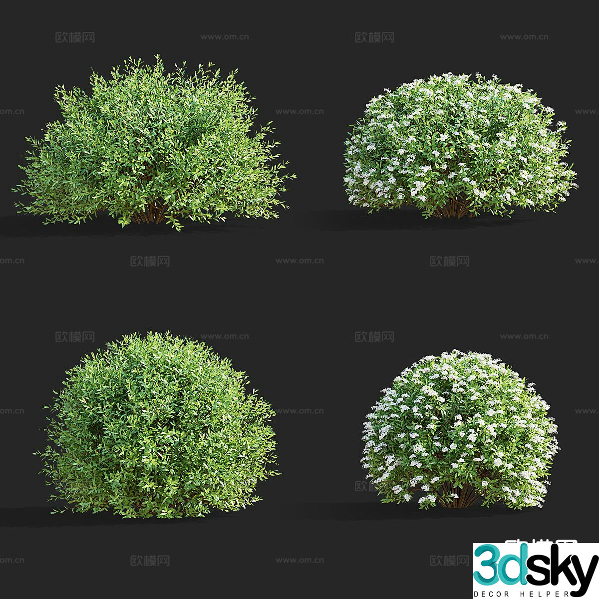 Shrub balls shape bush spindue 3d model