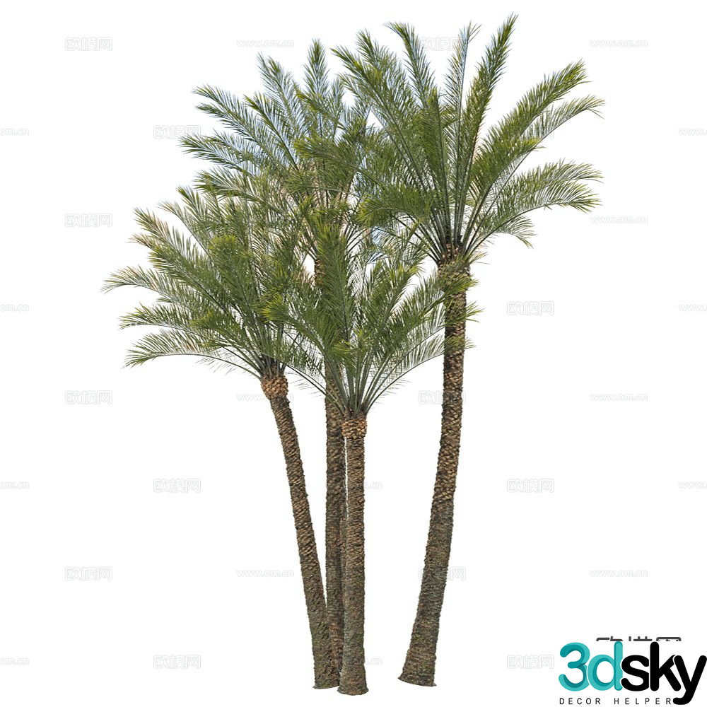 tropical tree landscape tree coconut tree 3d model