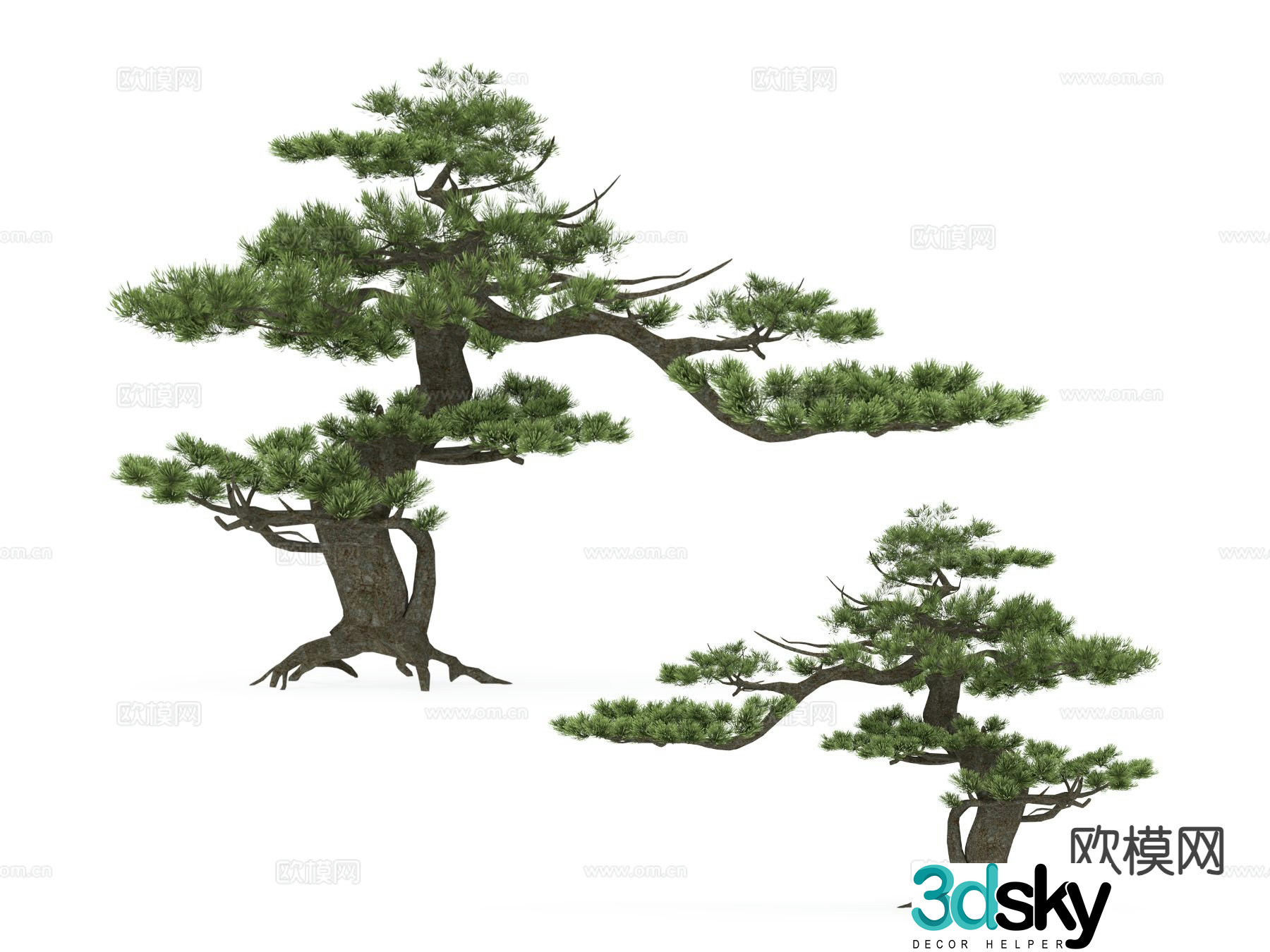 Landscape tree Pine tree Big tree Tree 3d model