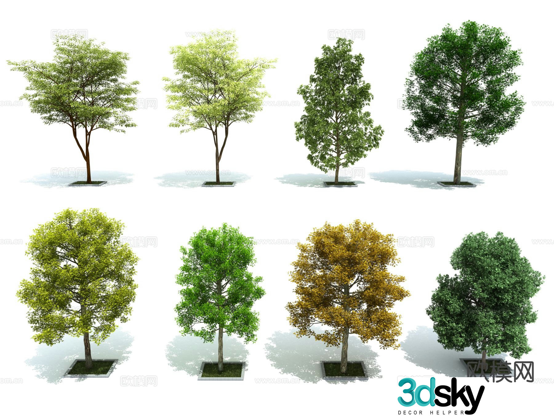 Trees Landscape Trees Street Trees Aerial View Tree Scene Tree 3D Model