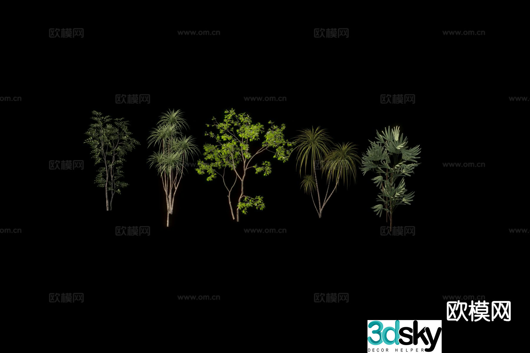 Modern plants tropical tree 3d model