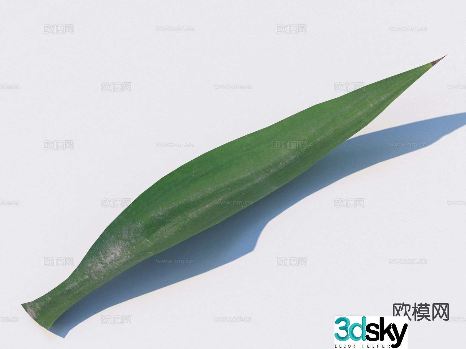 vegetables leaves food 3d model
