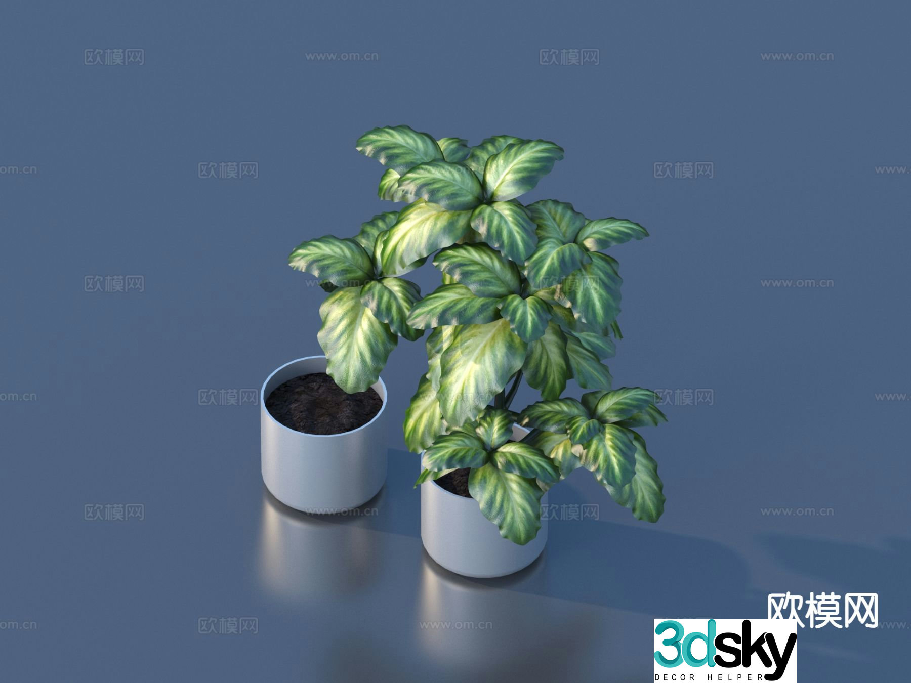 Flower pot pot green plant 3d model