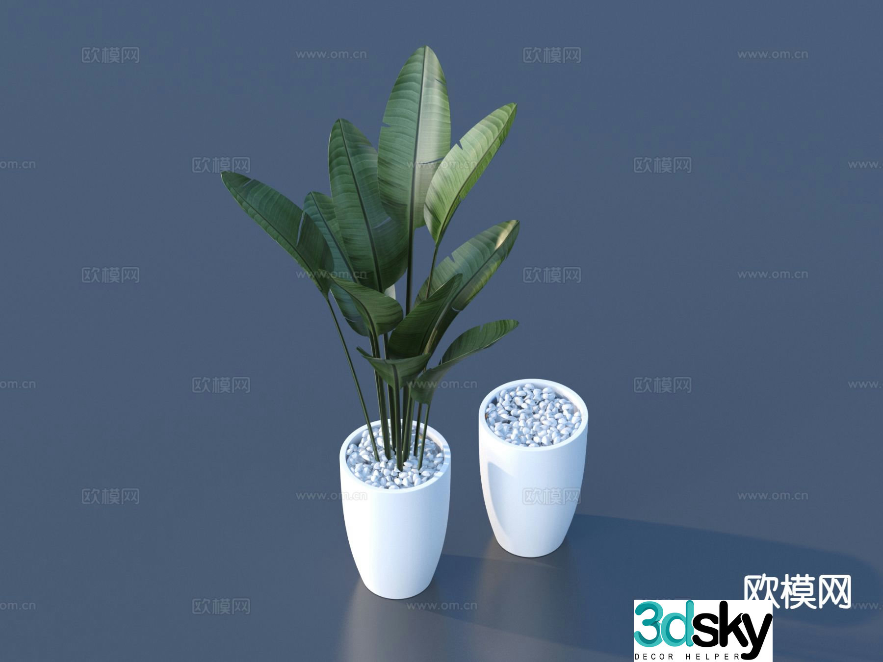 Flower pot pot green plant 3d model