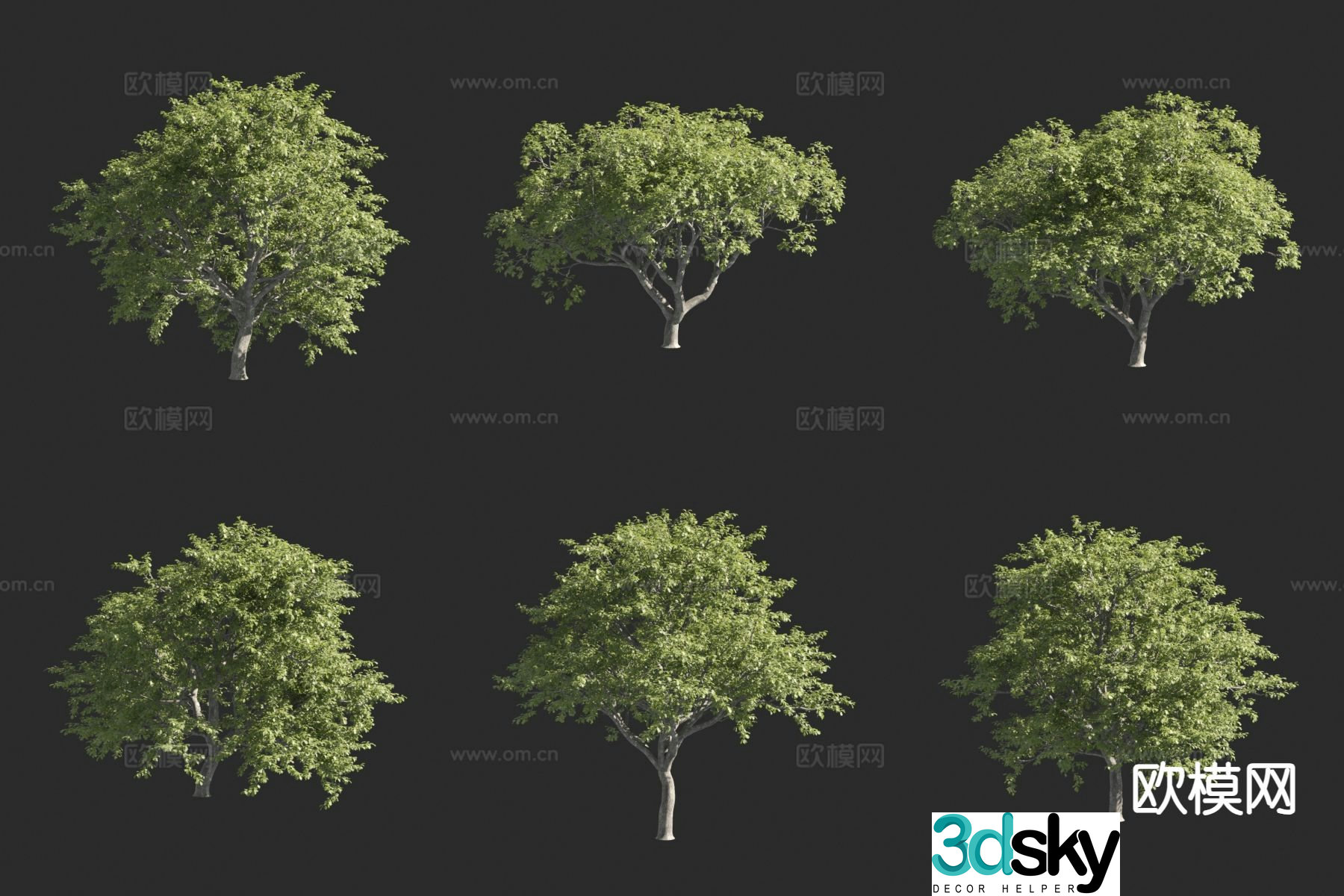 oak tree landscape tree ornamental tree tree 3d model
