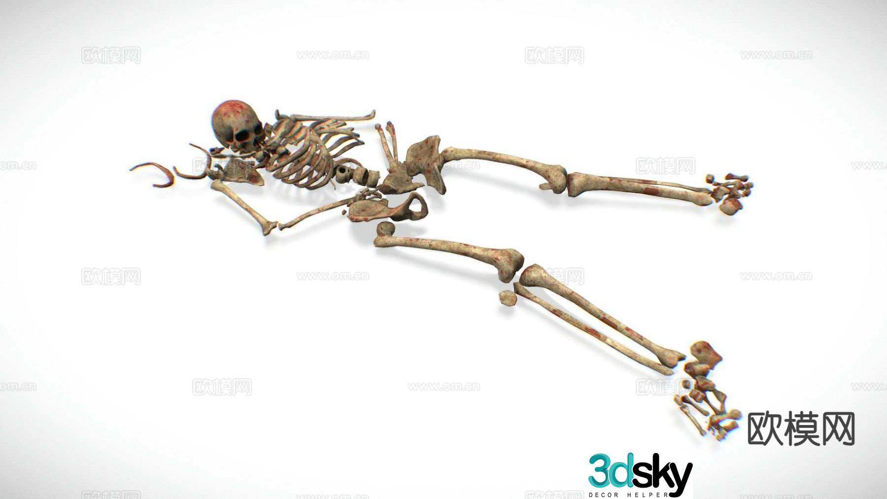 Skeleton Remains Skeleton Lying Corpse 3D Model