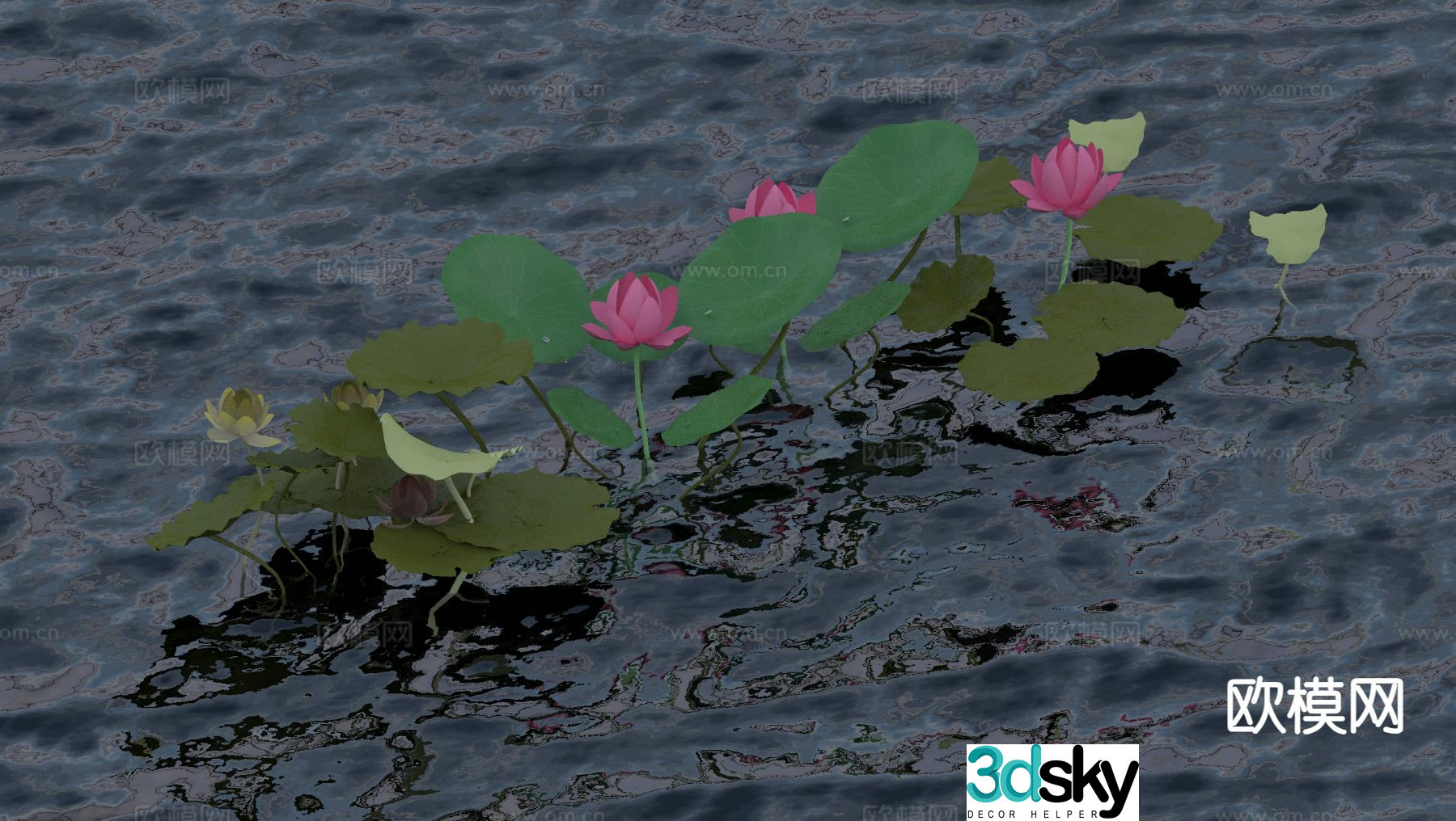 Lotus Flowers 3d Model