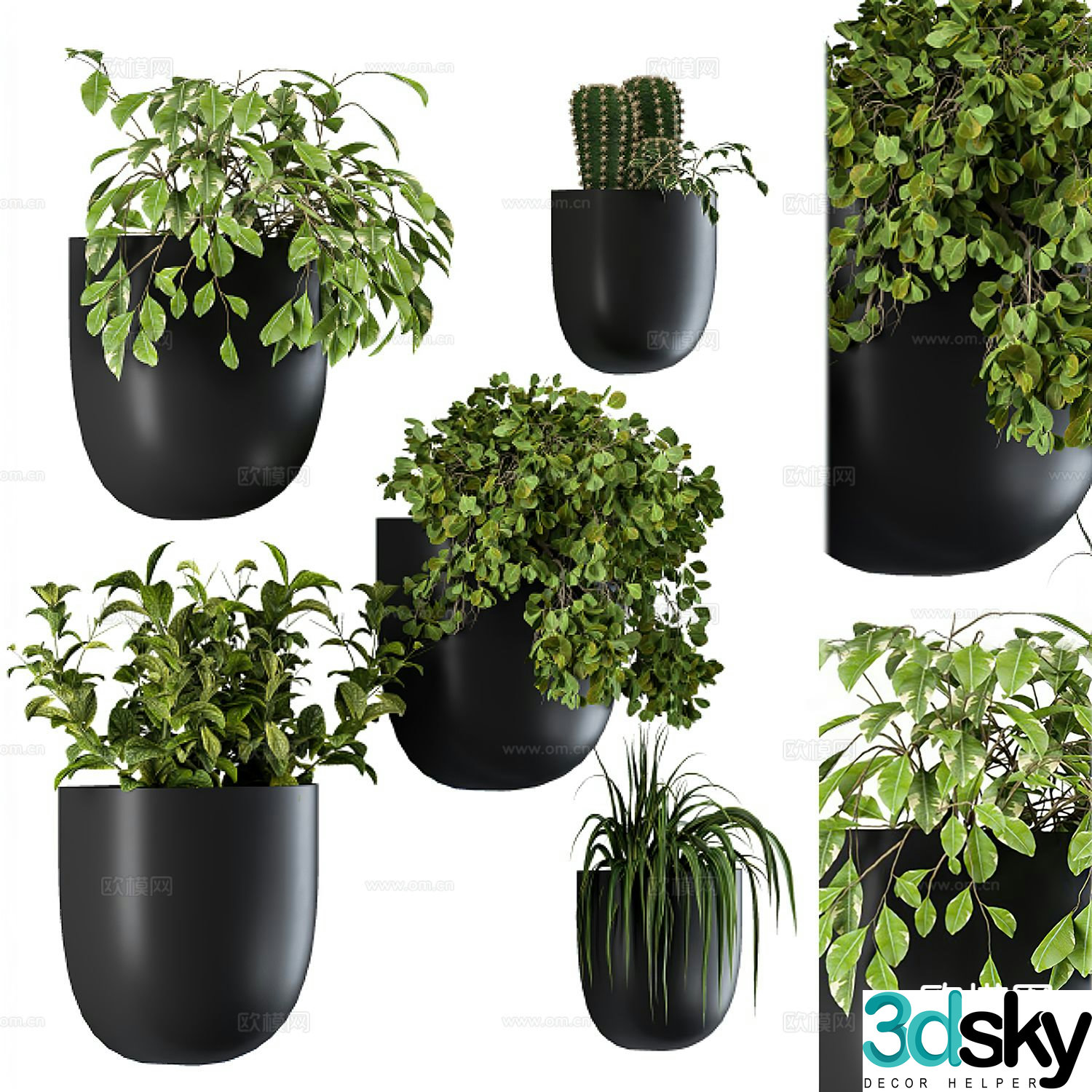Green plant potted plant small potted plant 3d model